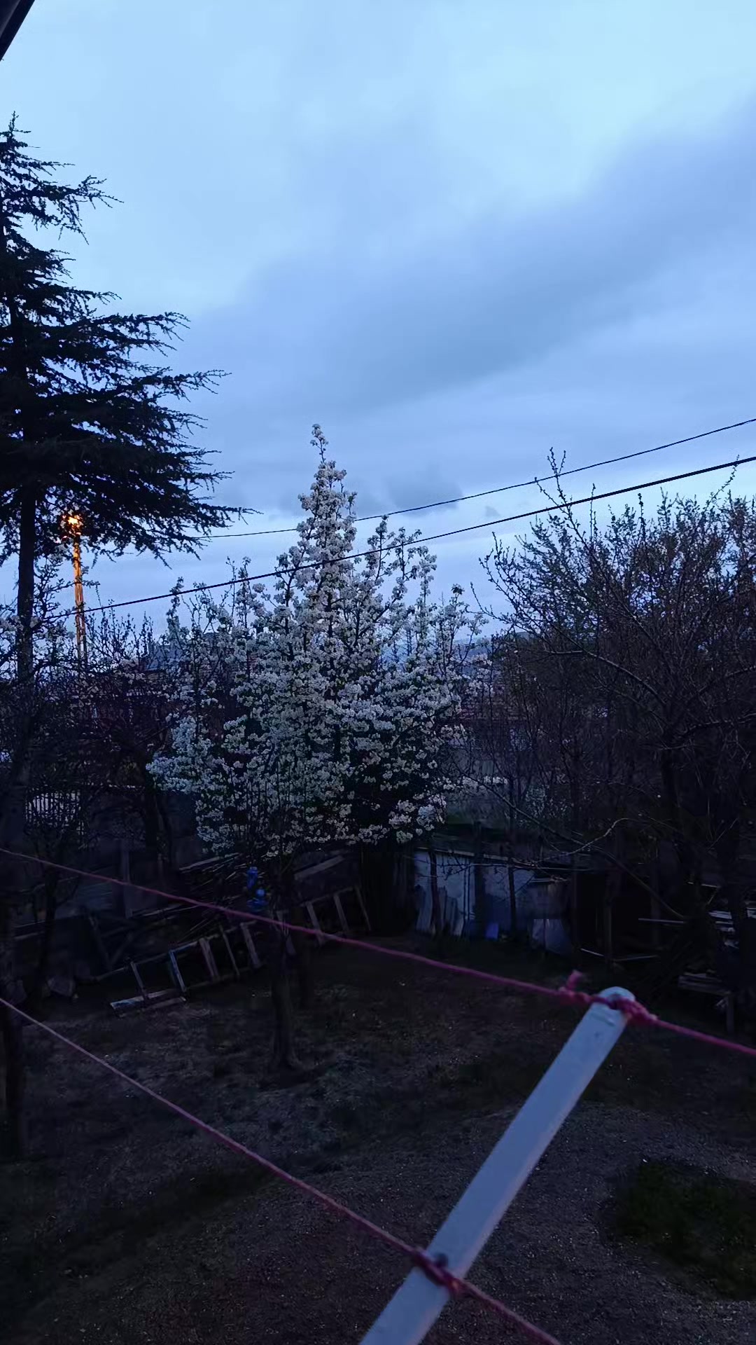 @Gizem Aygün.19
