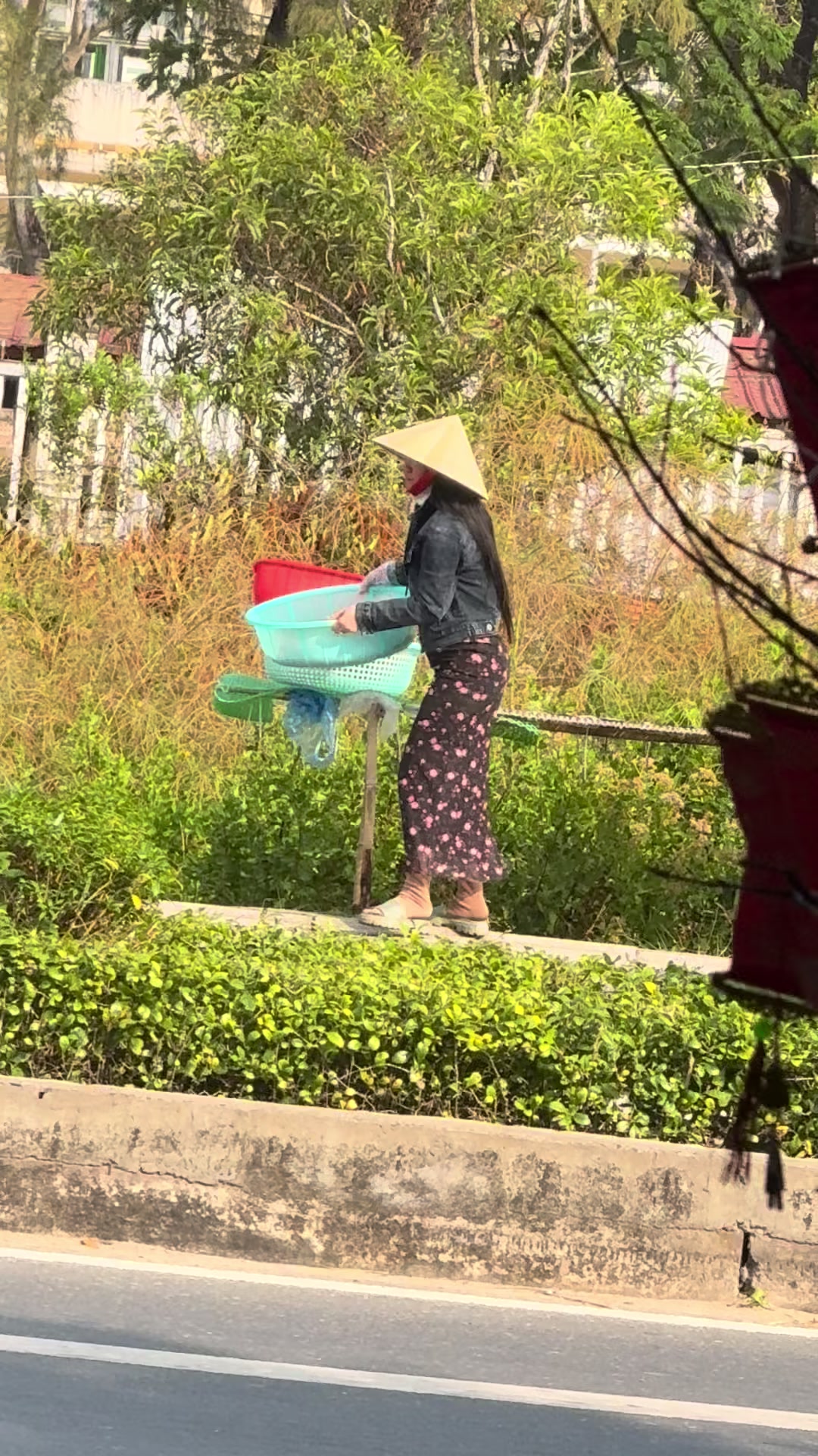 @Mai Điệp,tôm,cua,mực,cà mau.