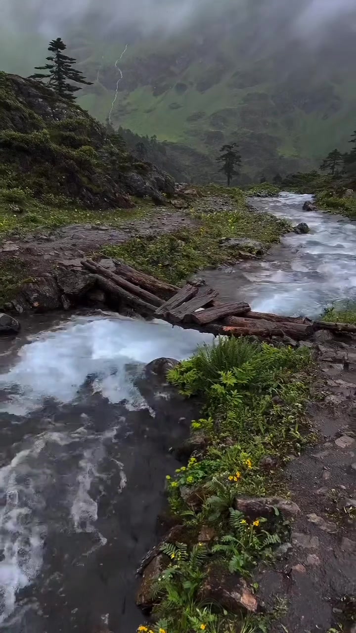 @Ibrahim Gürcan