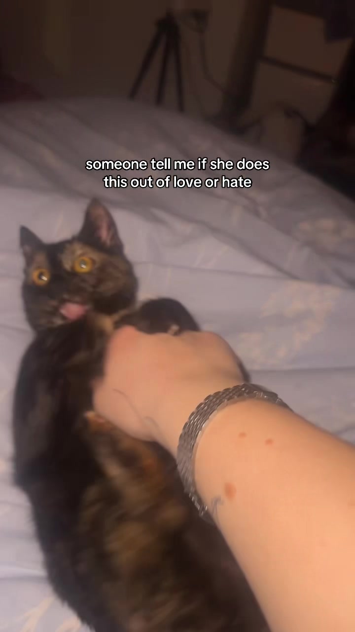 @kitkat