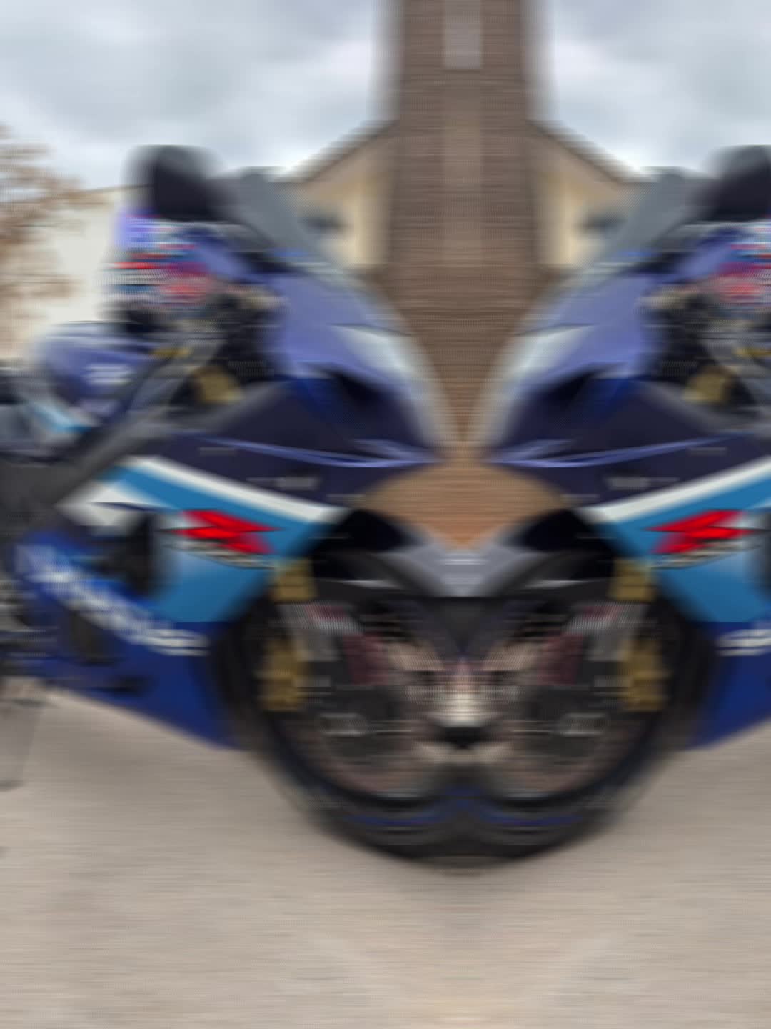 @Fran_gsxr600