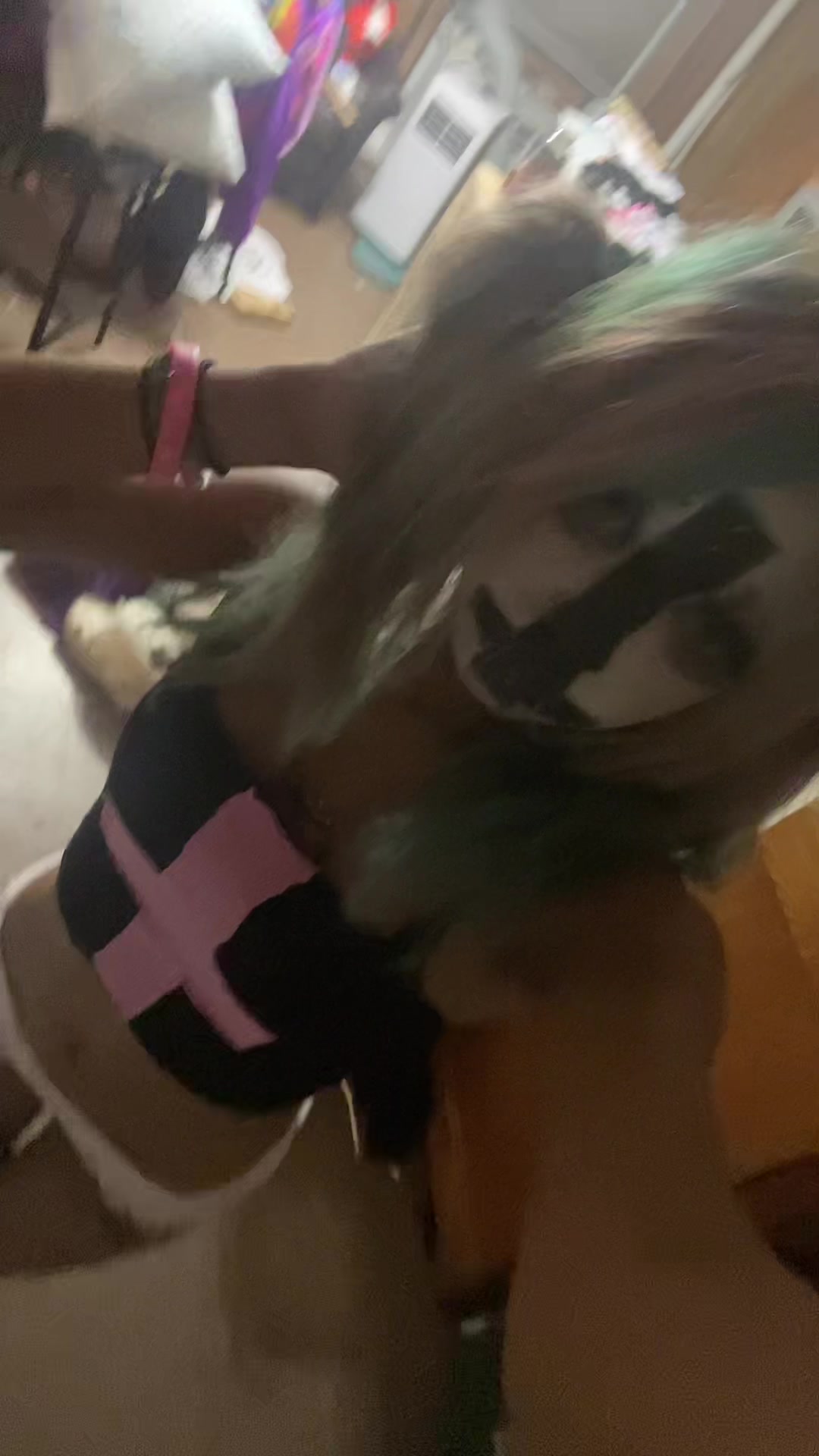 @jet 🦴🐾