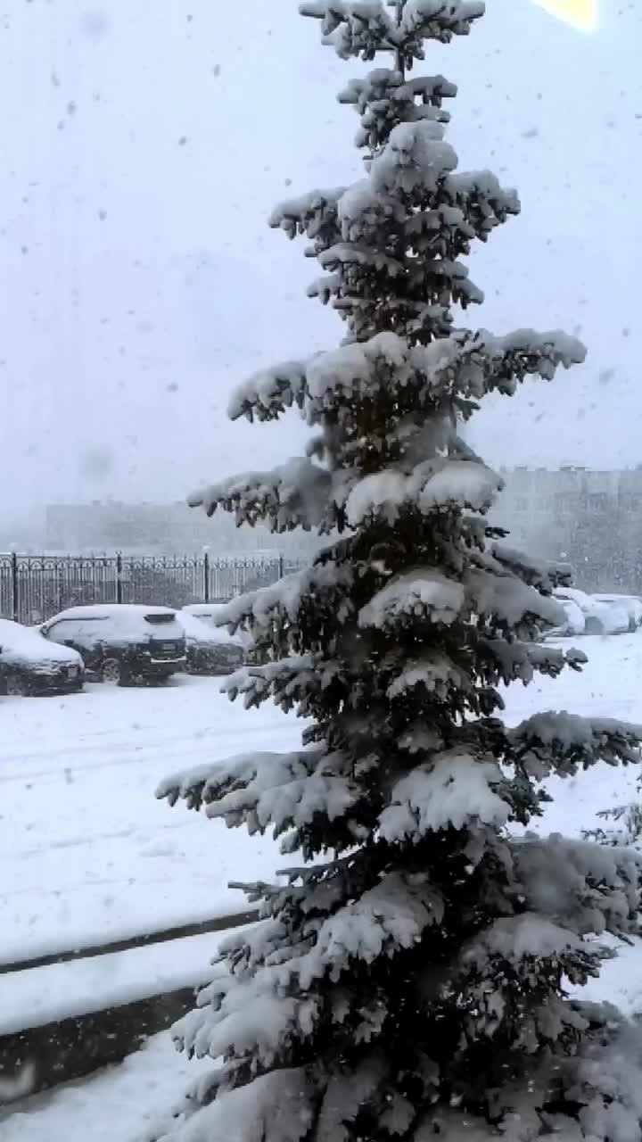 @Юльчик 💜