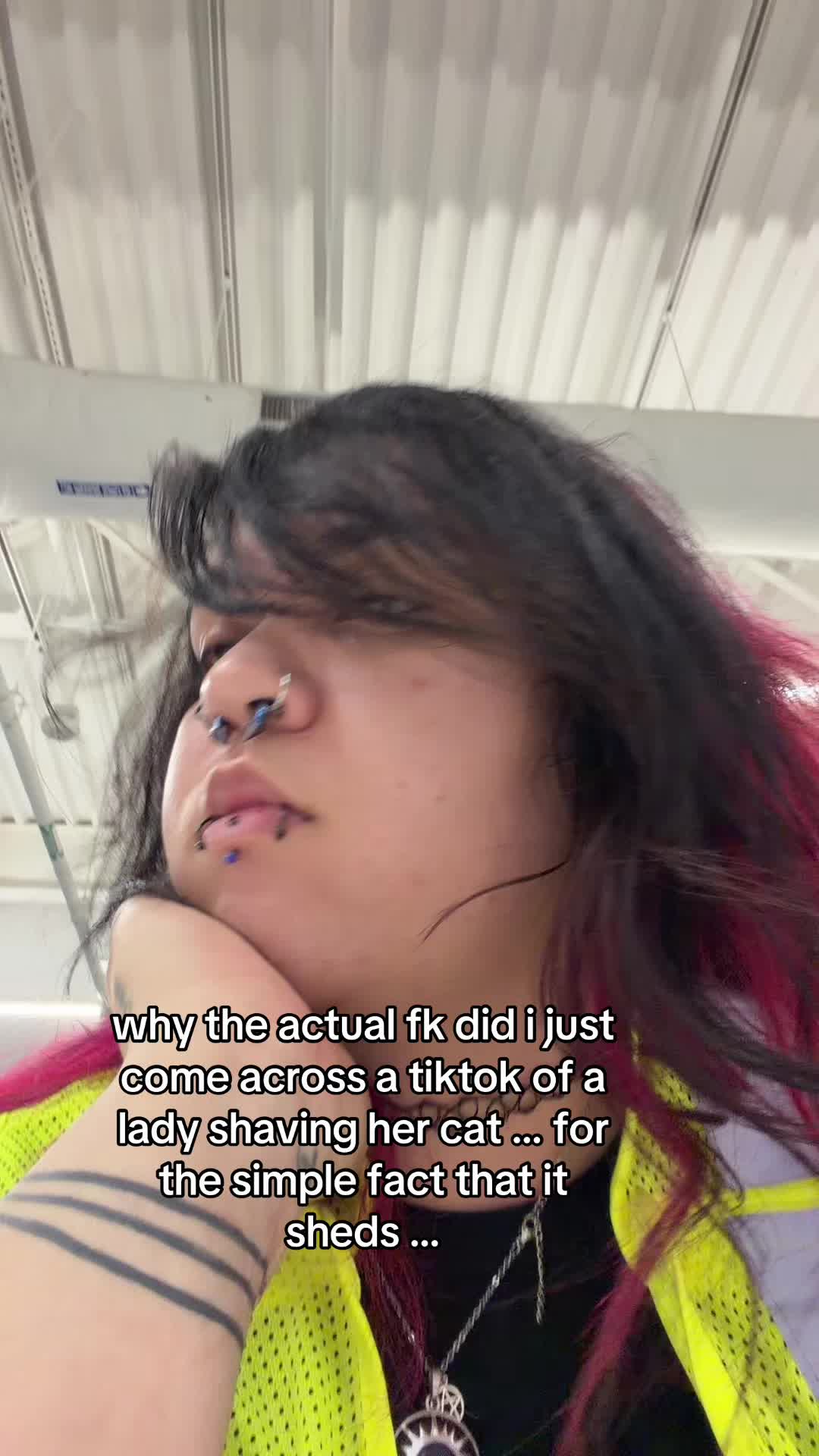 @chrisss🕸️