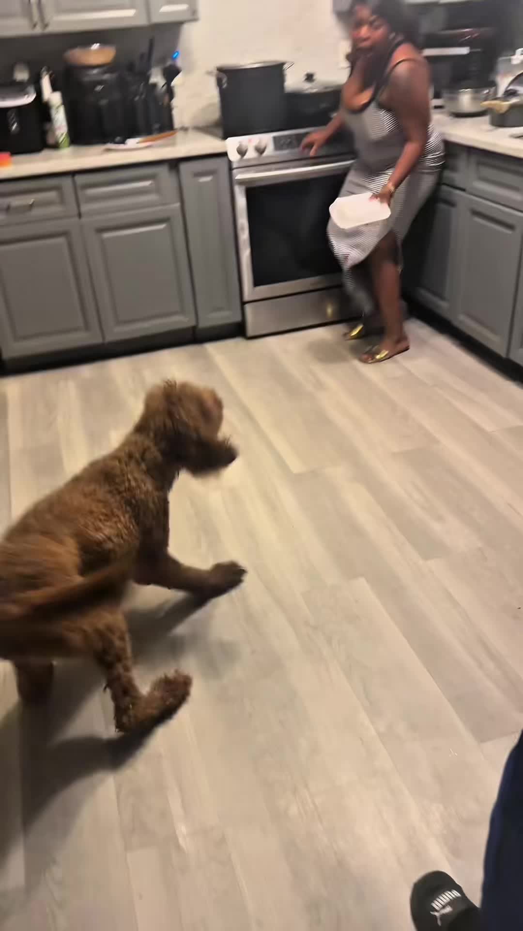 @funnyvideo3782