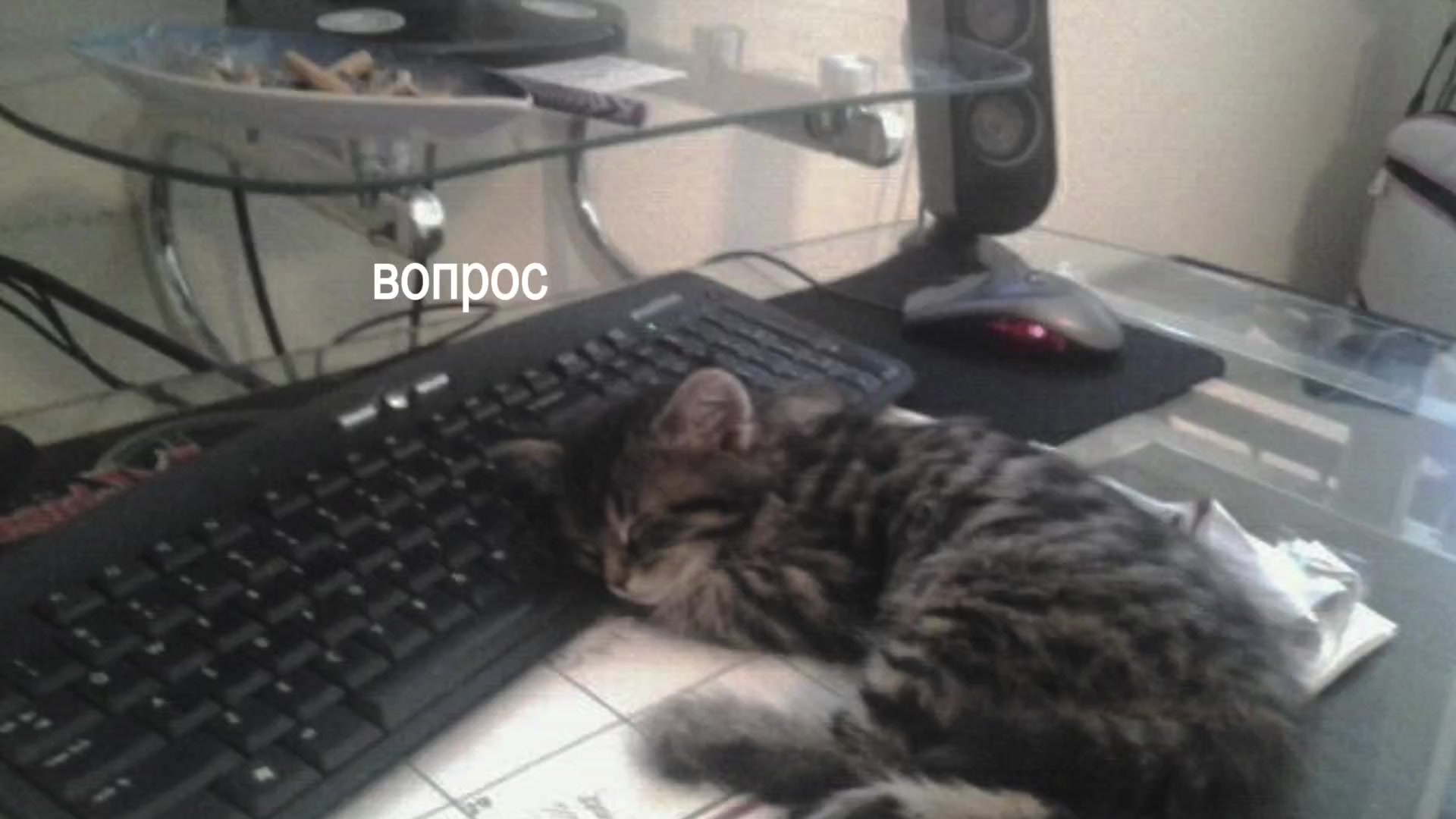 @эликсир