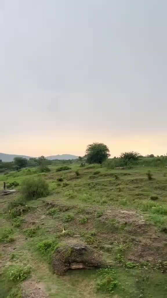 @zainali34626