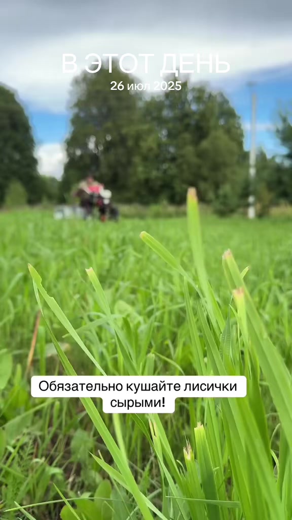 @LifeInFlow