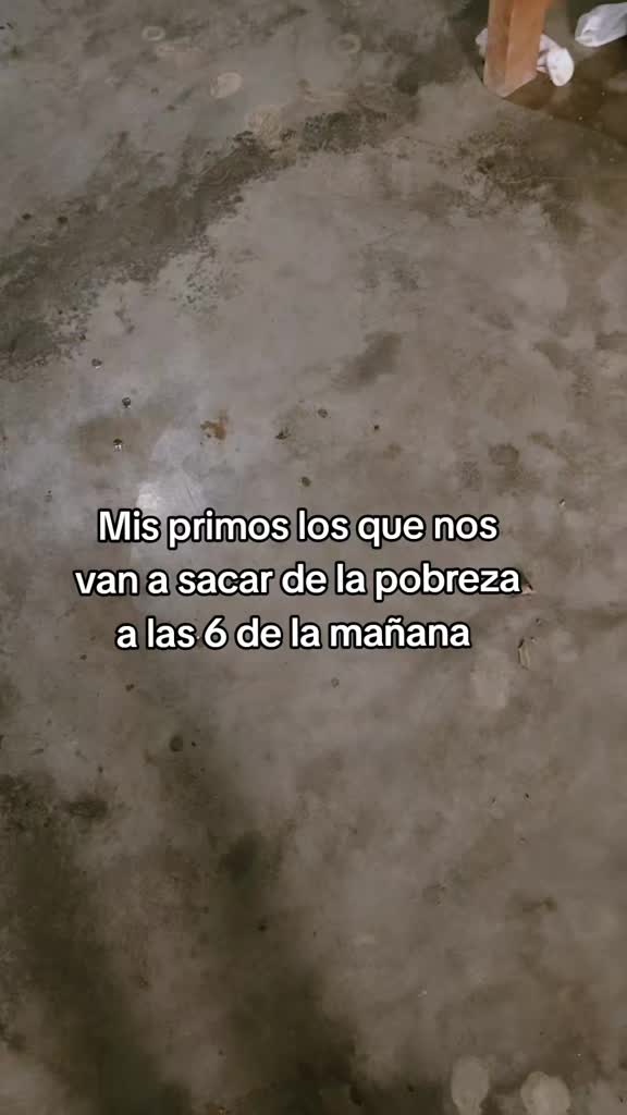 @Aide_Rosas