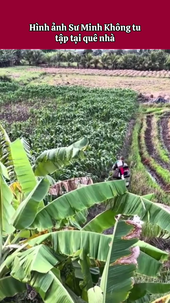 @Đến miền đất Phật