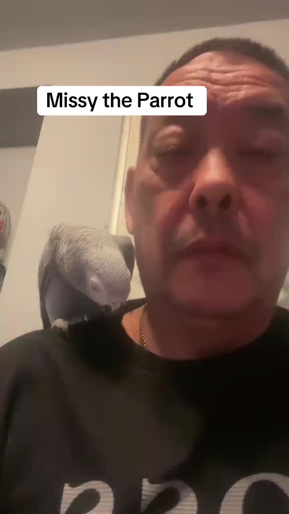@Norman and Missy the Parrot
