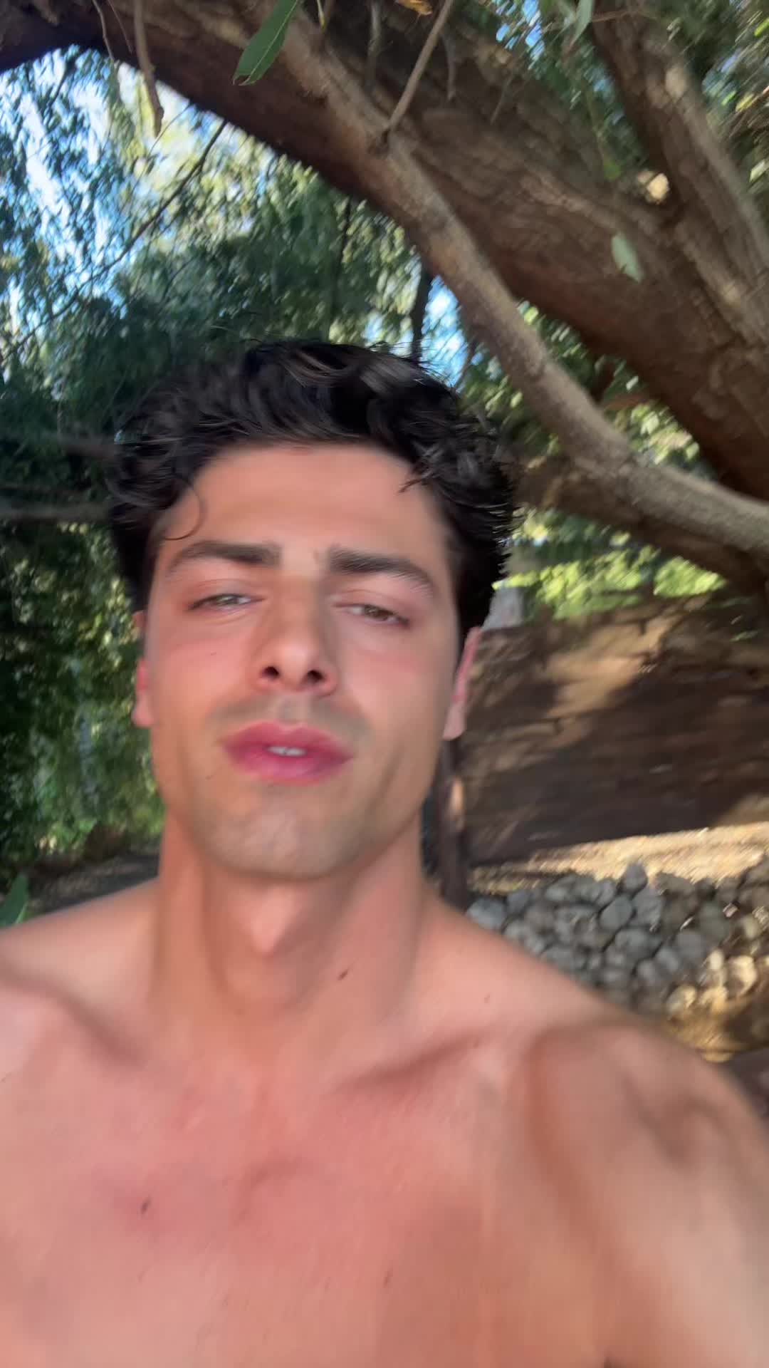 @Vincenzo Melisi🇮🇹