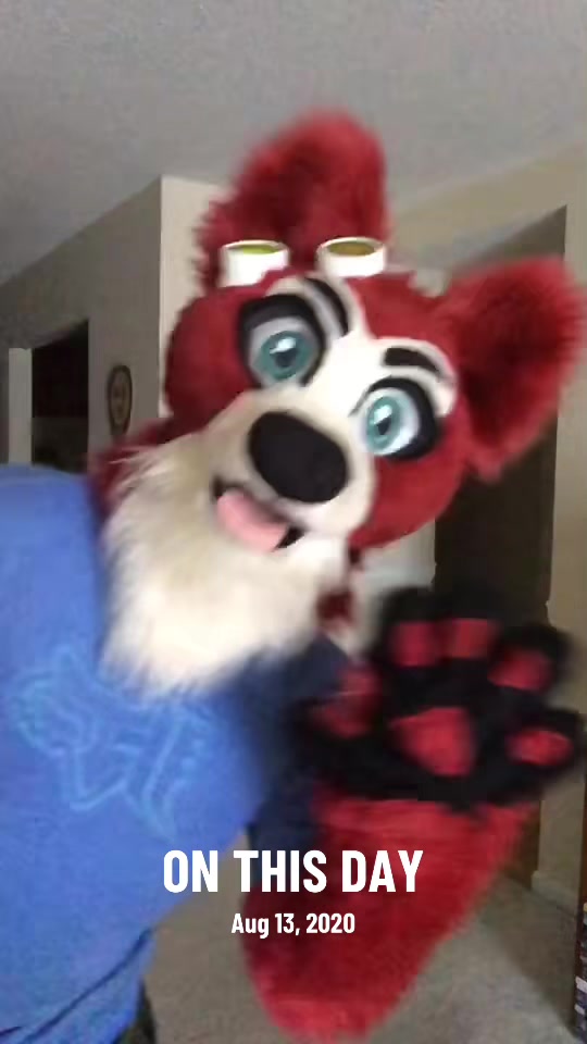 @🦊 Pete The Fox 🦊