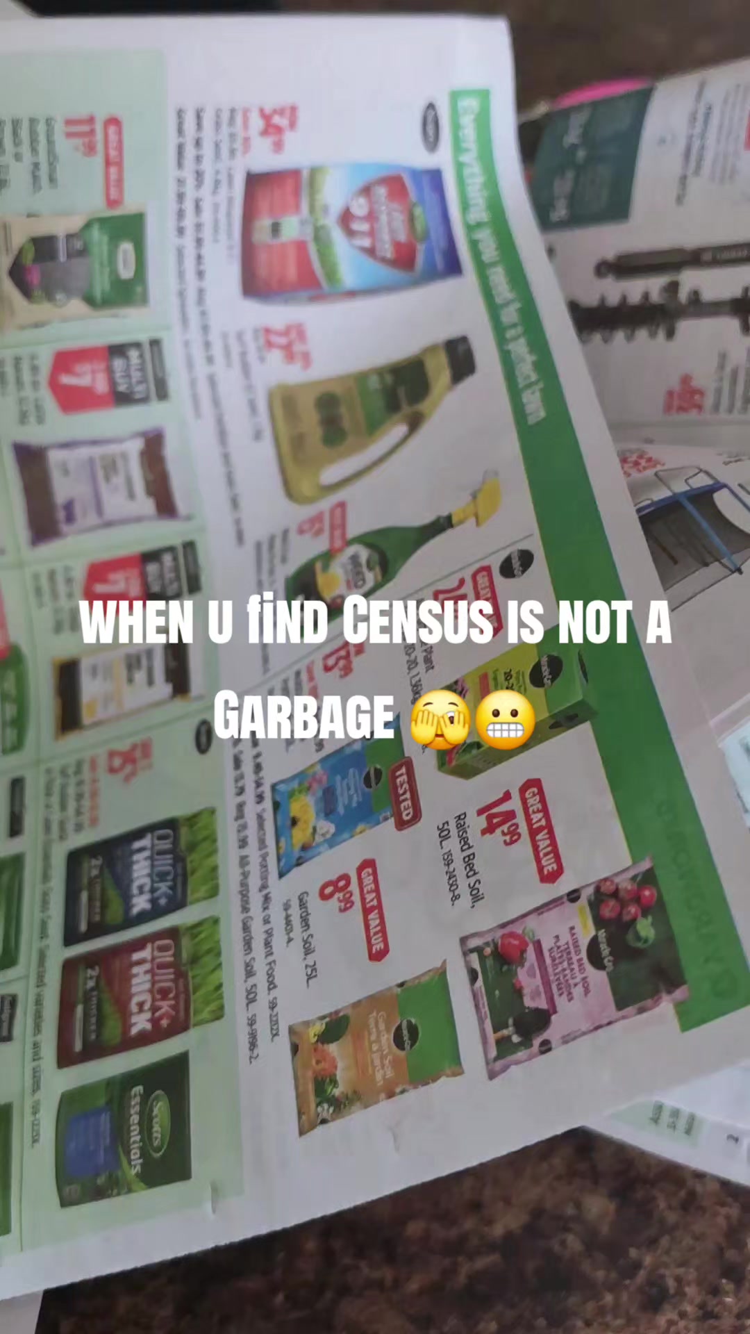 @Curiousmind