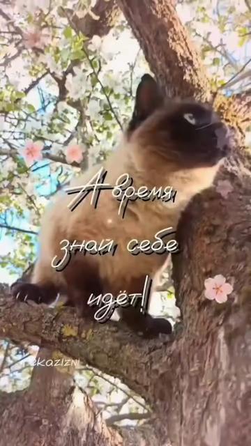 @РЕКА ЖИЗНИ...(Svetlana)