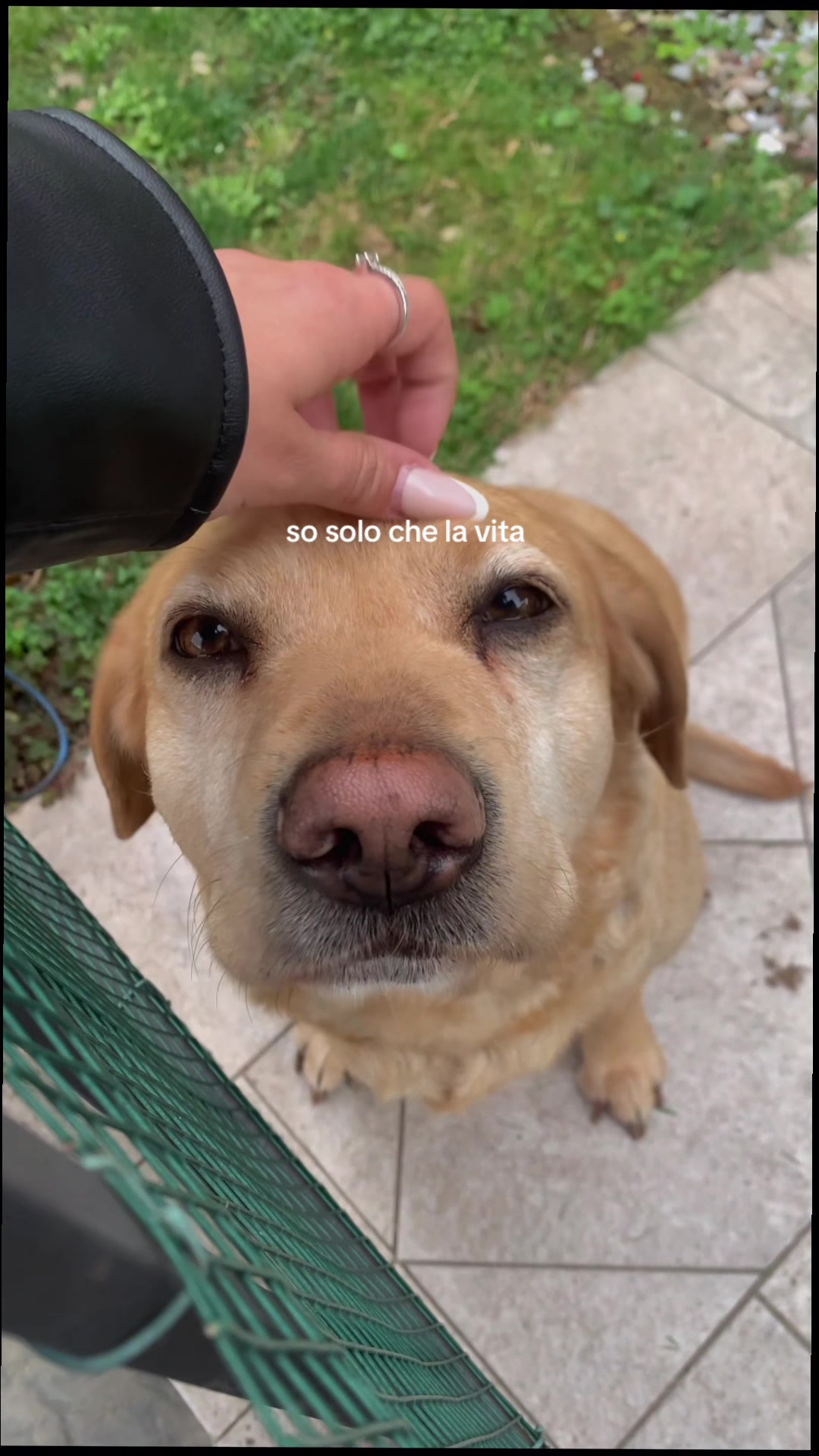 @𝒓𝒆𝒃