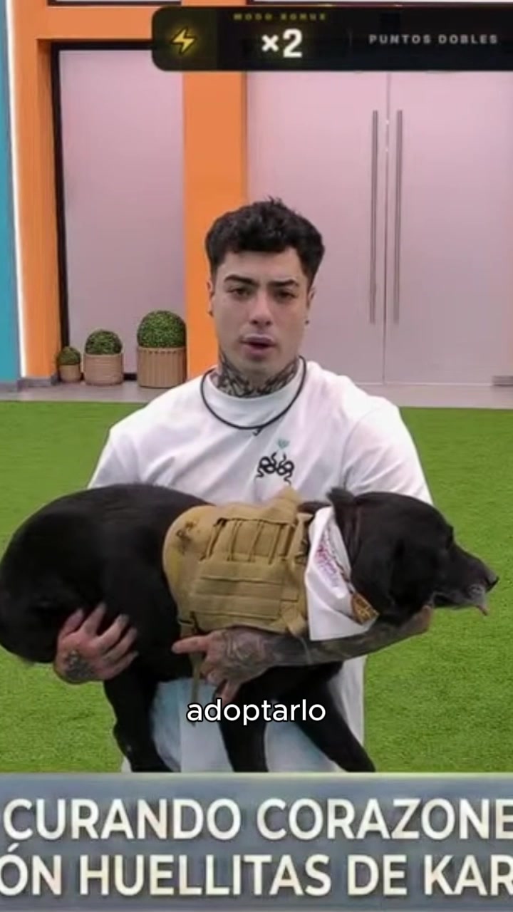 @Naimdarrechi