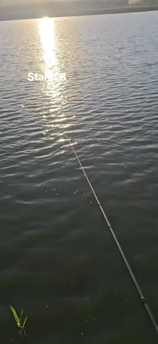 @Balta Turcoaia