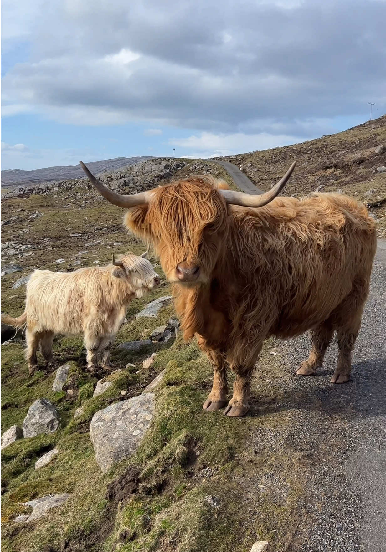 @VisitScotlandTours