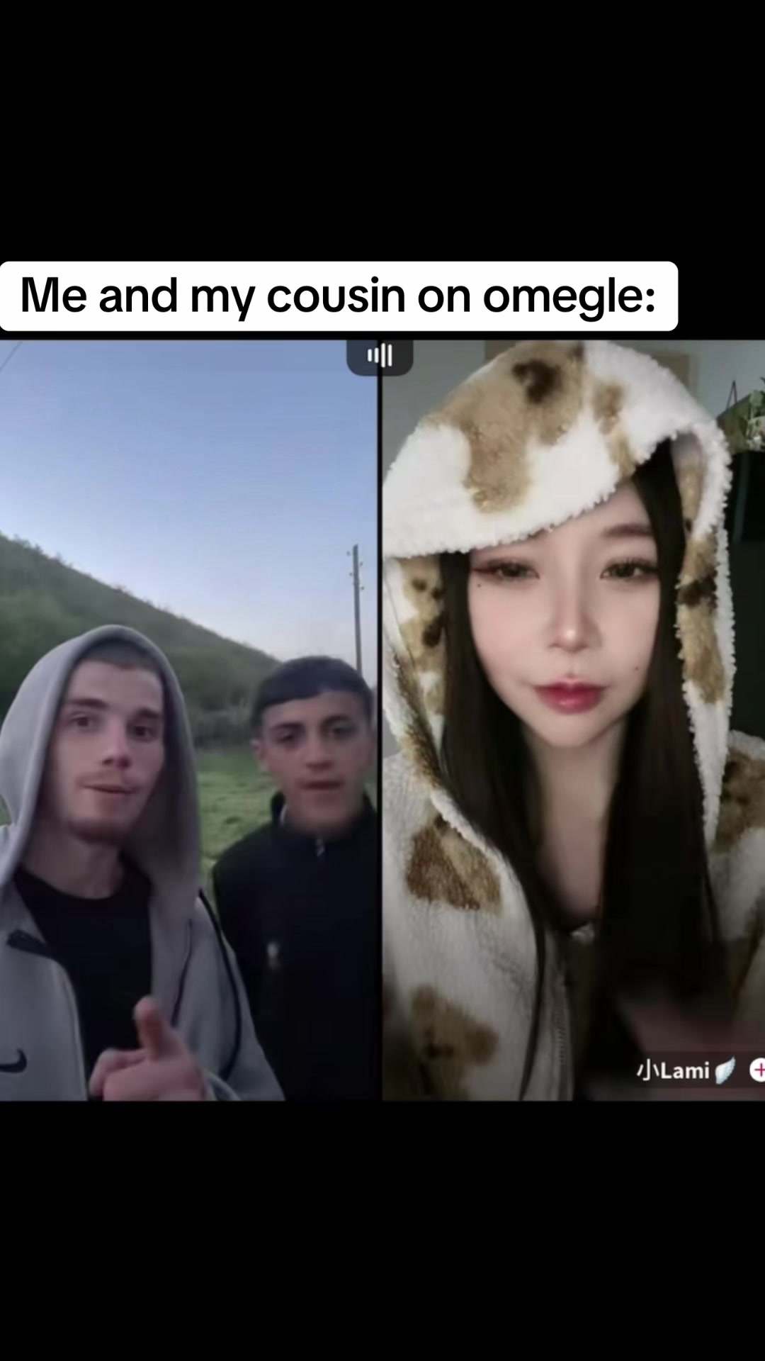 @albanesi_majonesi