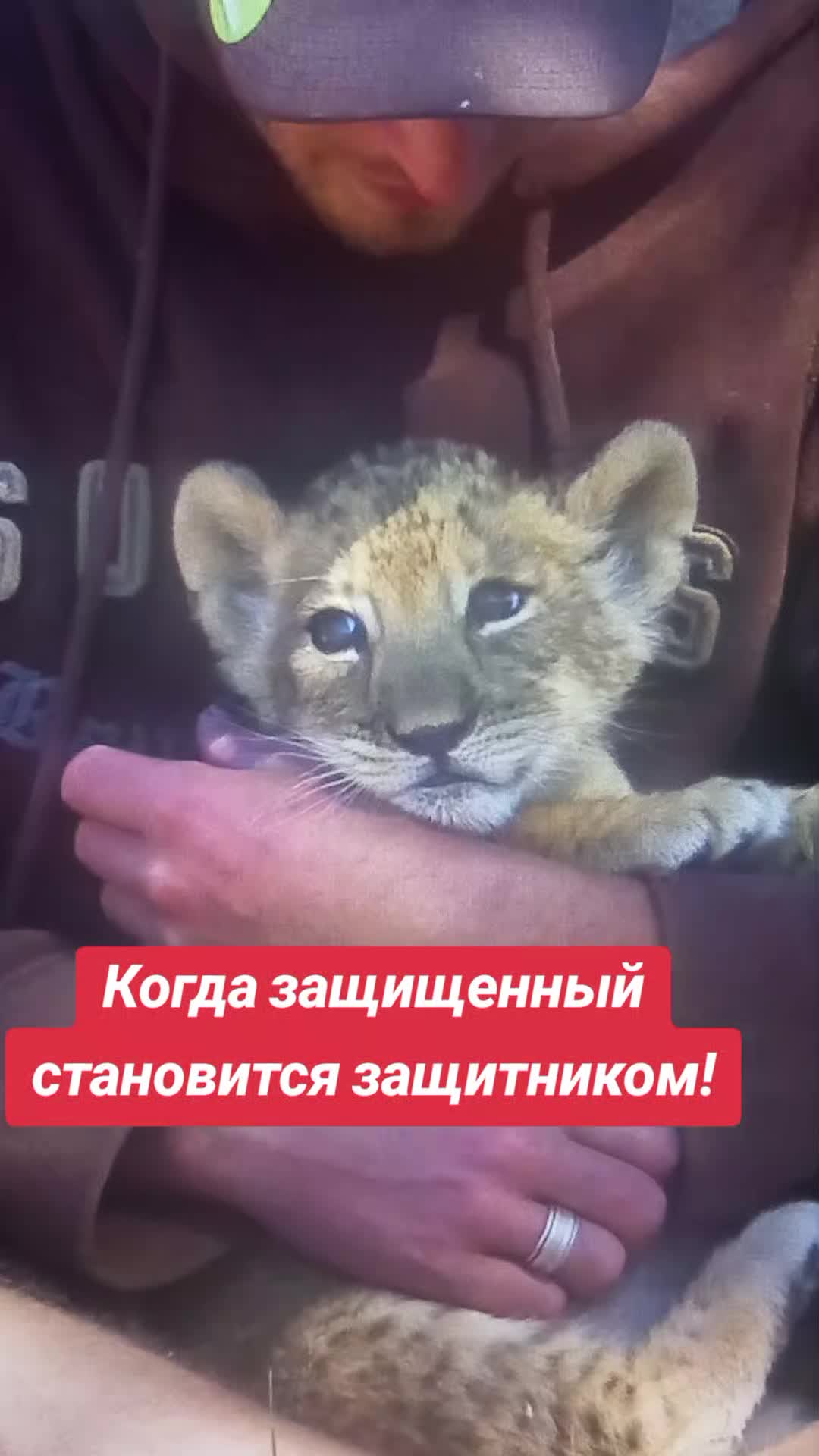 @S.М.