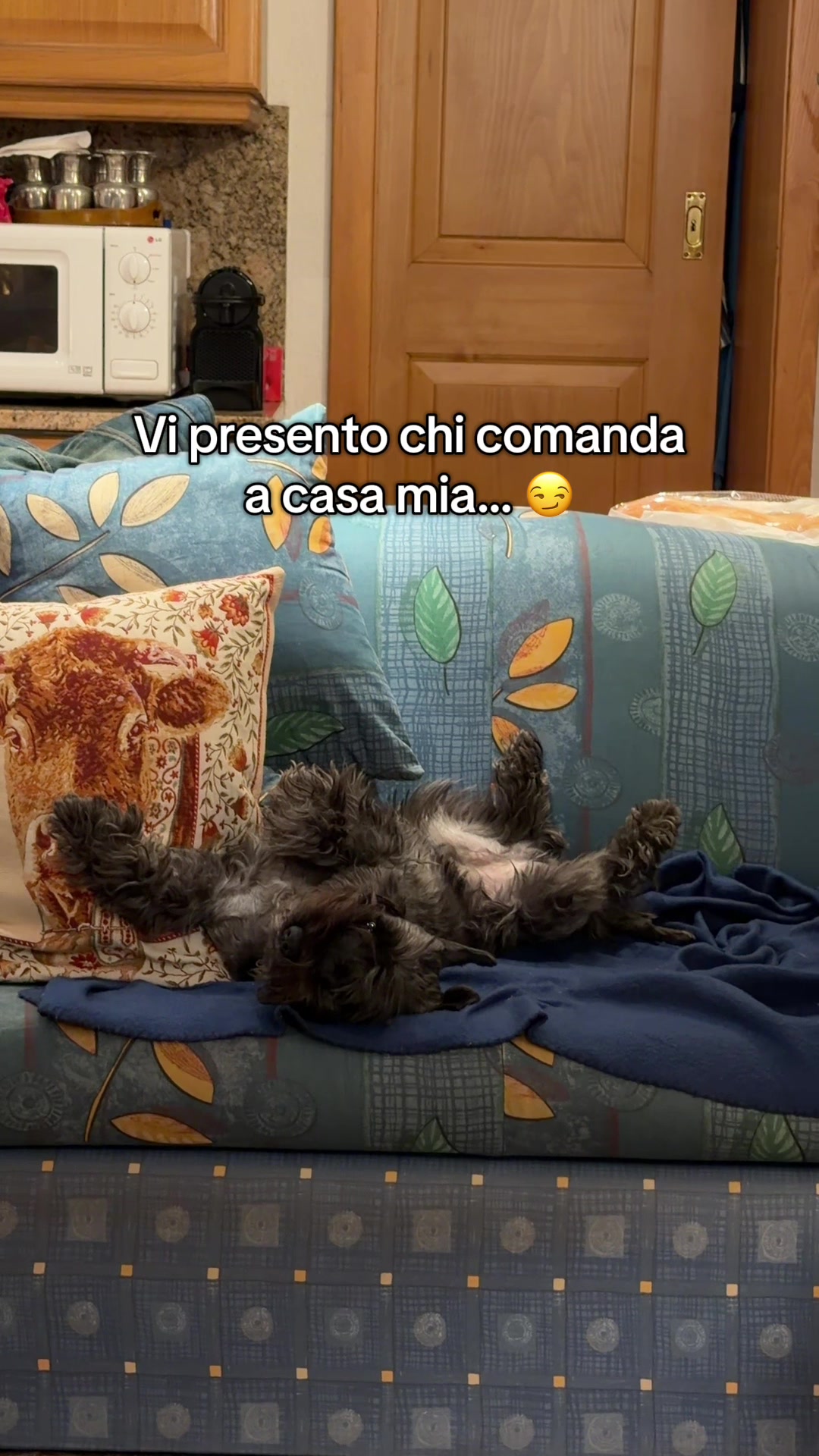 @Alessandro Magni