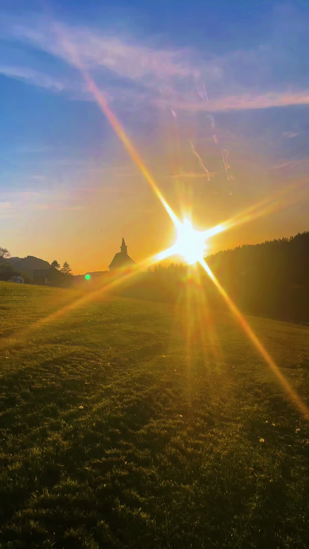 @Agrarius 🌲🇦🇹