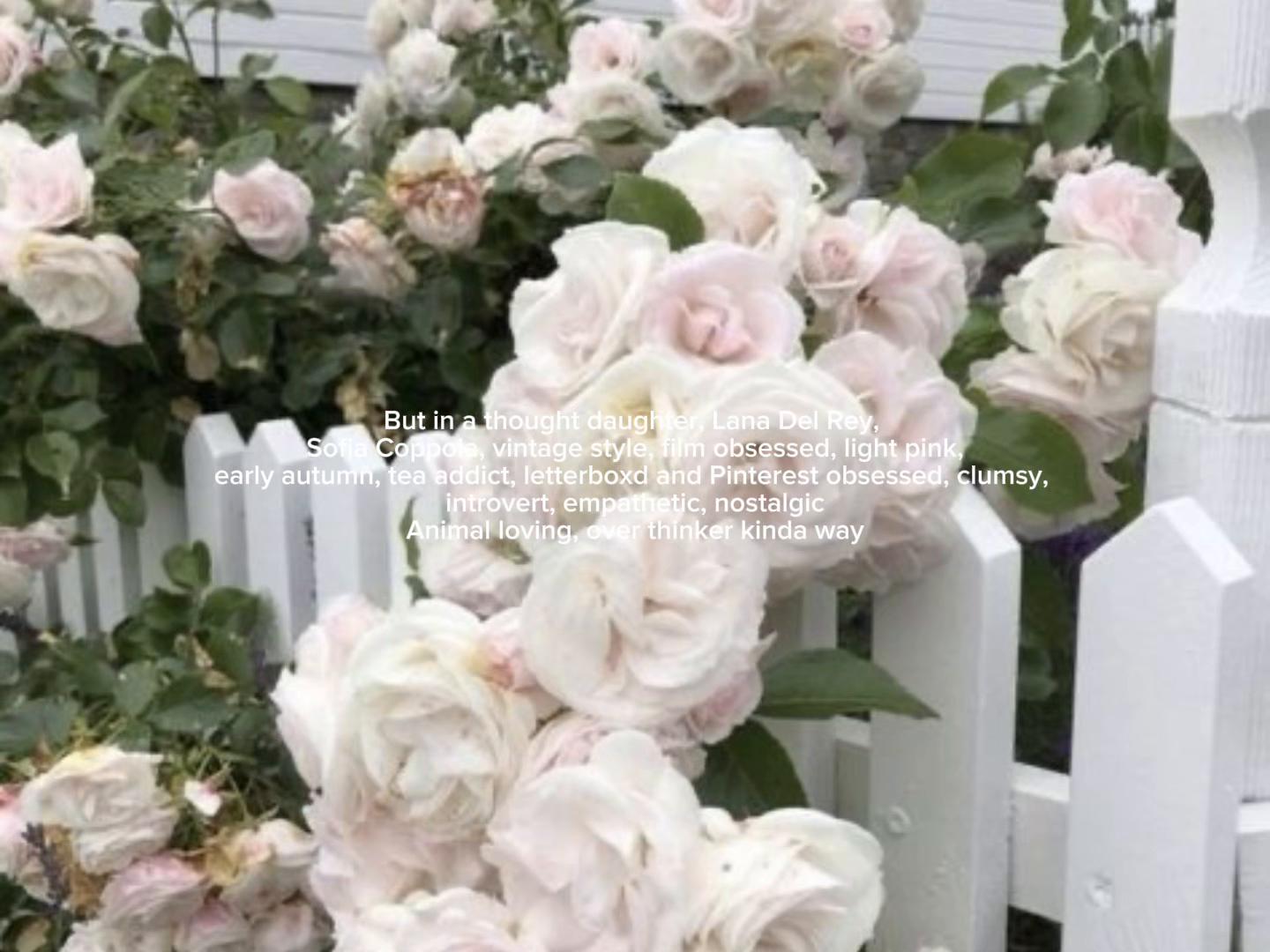 @𝜗𝜚˚⋆. Elle ☕️⚯ ͛