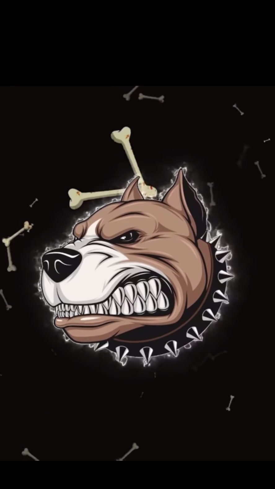 @TIKTOK MUSIC BIBLE