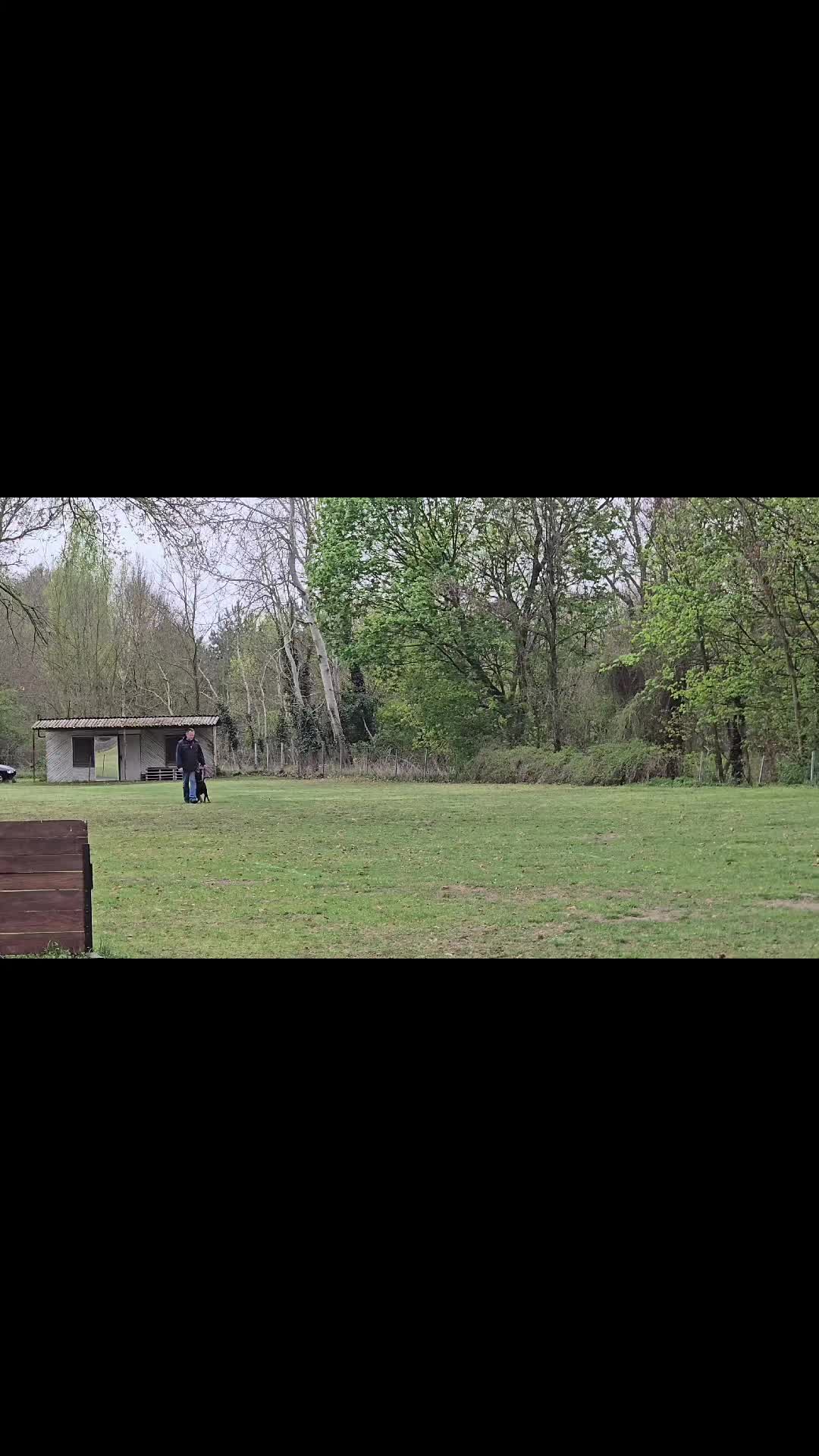 @Nikola Prkic