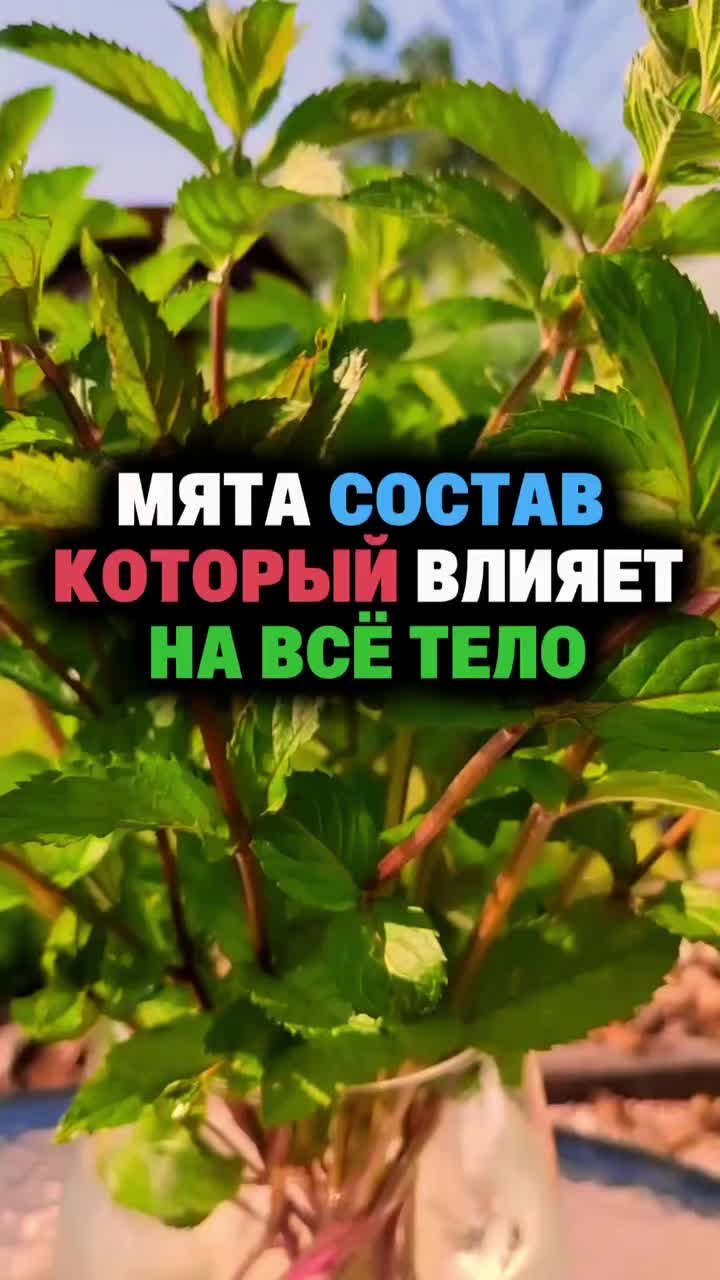 @FoodFackt