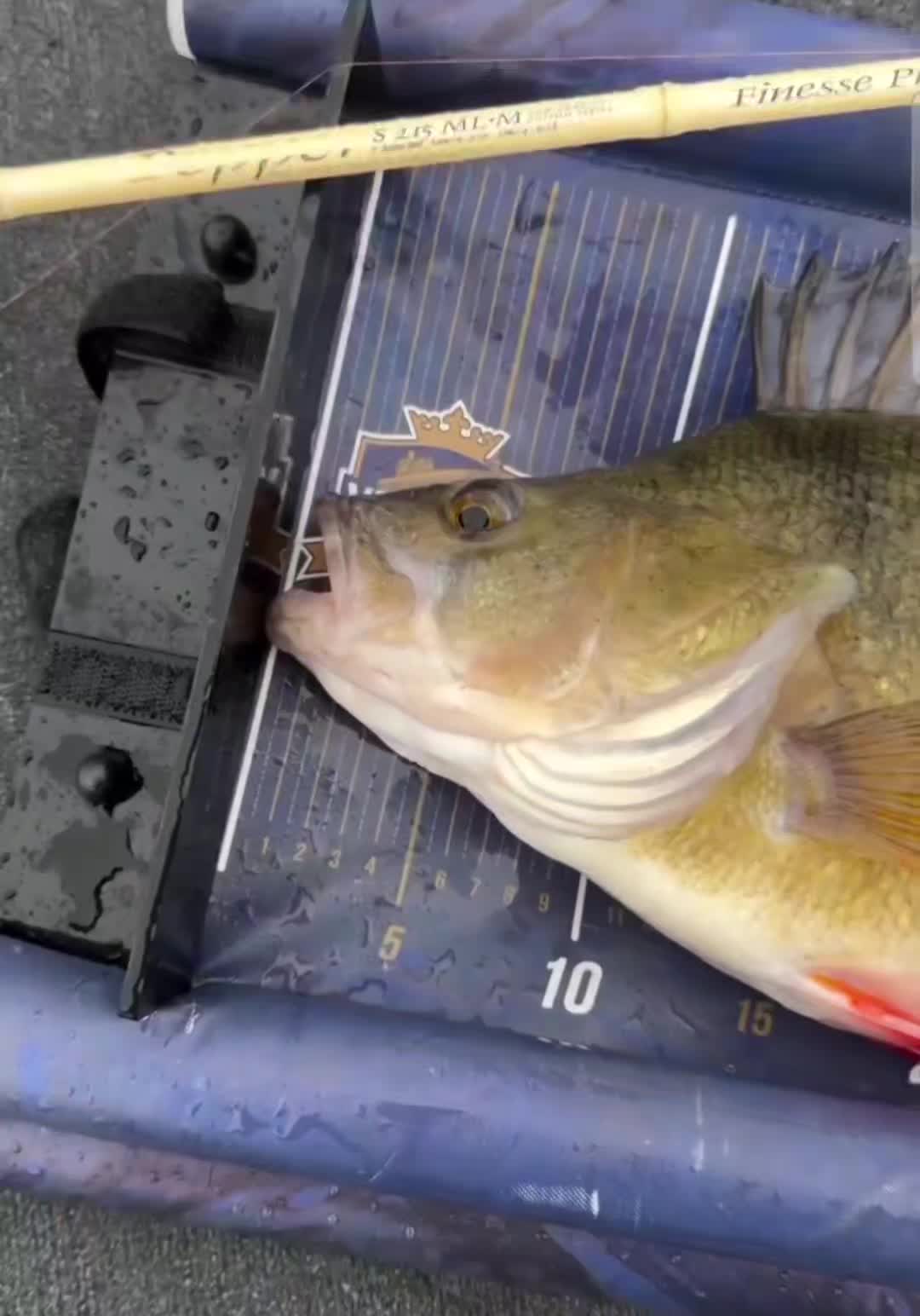 @fishing