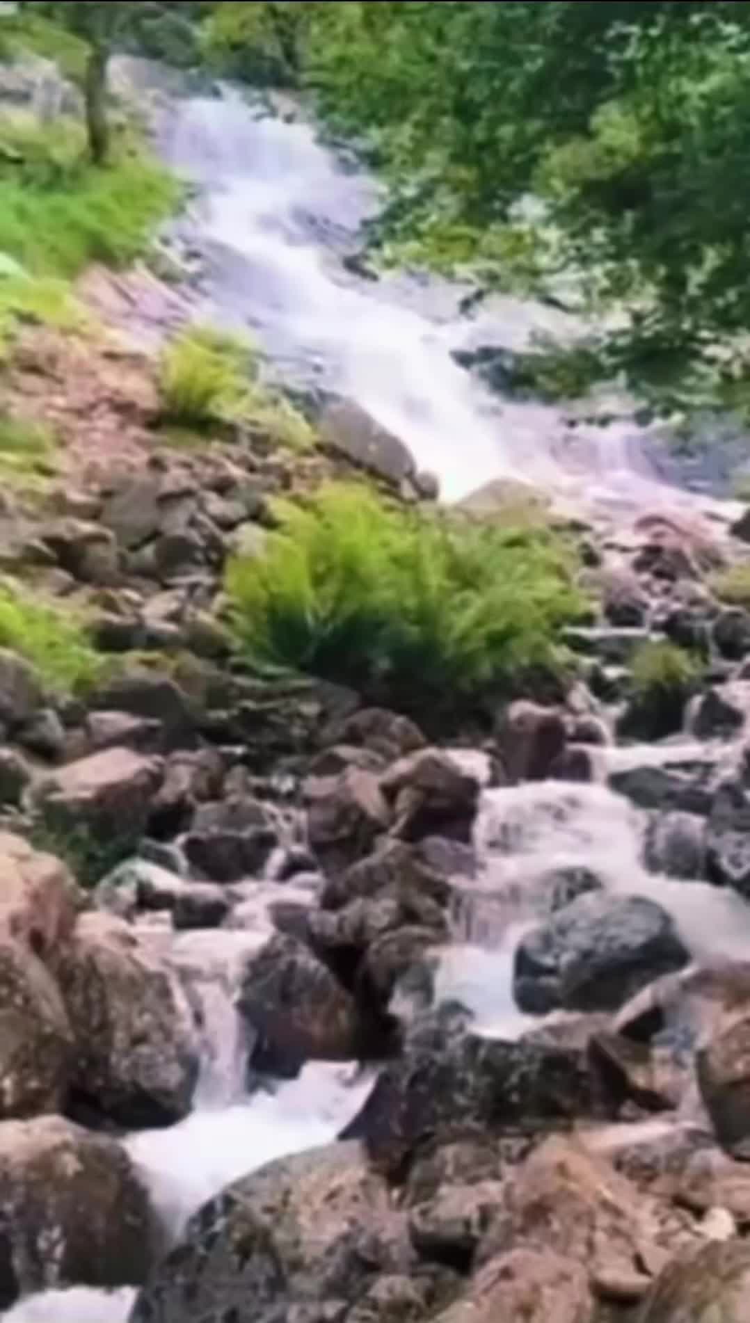 @Ań&auml;yǎ 👸