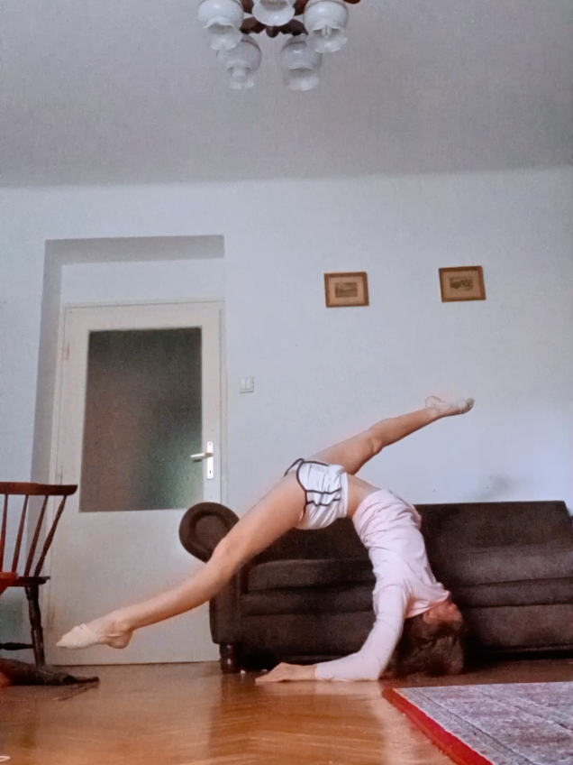 @circusobsessed