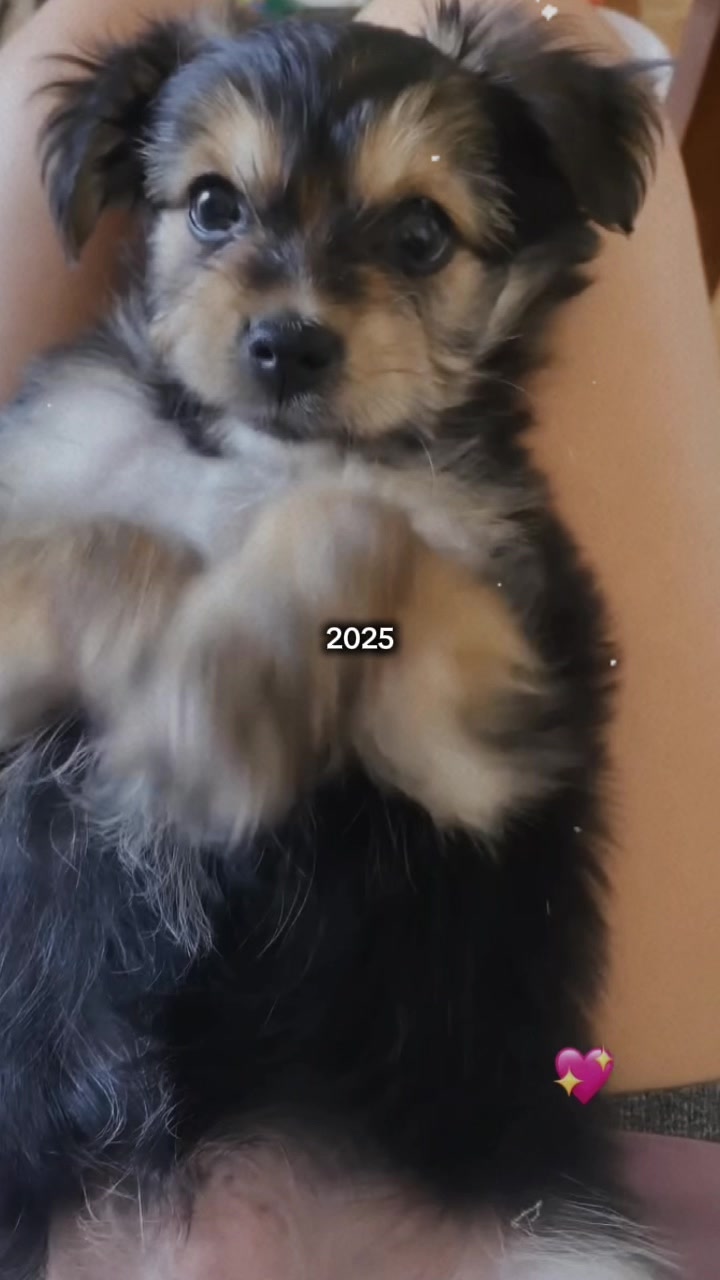 @S🌞l🌻