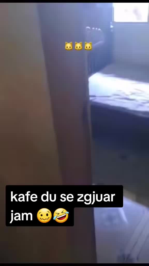 @♊ ♊♊♊♊