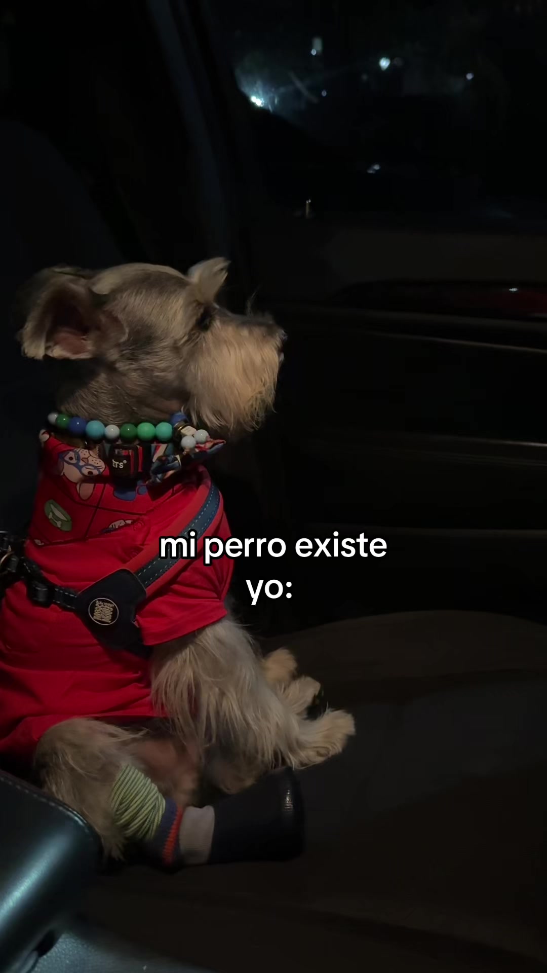 @vidadlanky