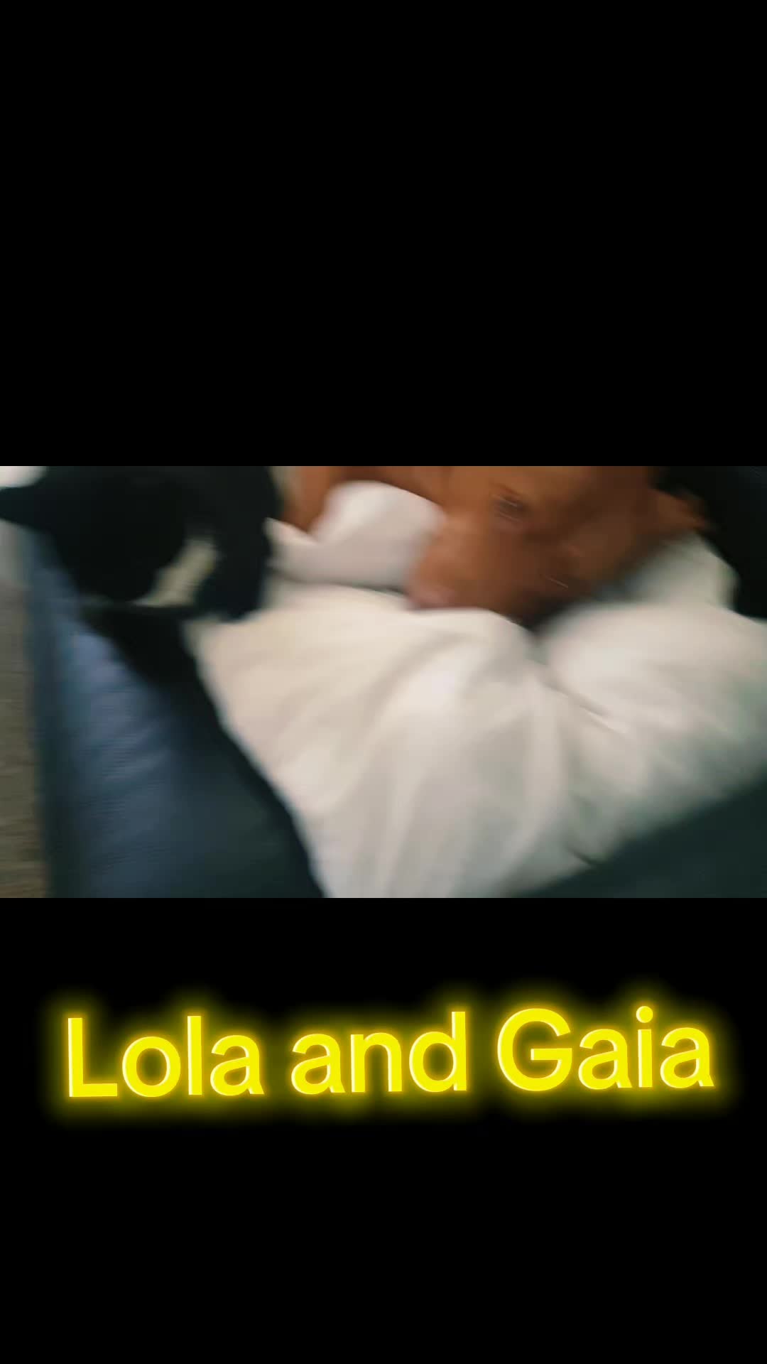@Gaia's world