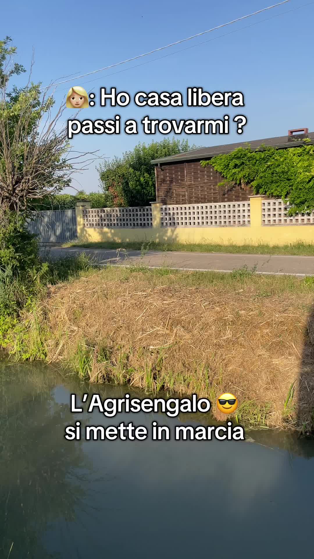 @Agrisengalo😎