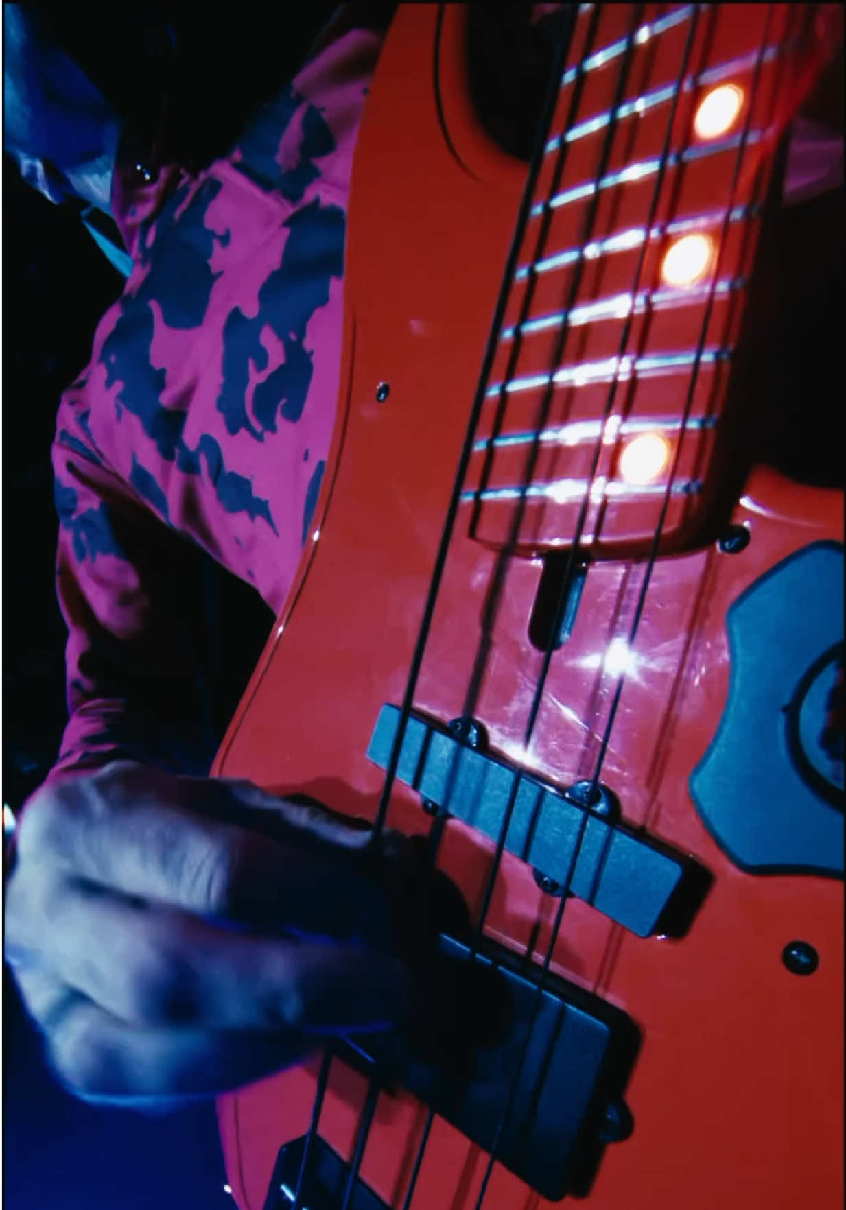 @MUSE
