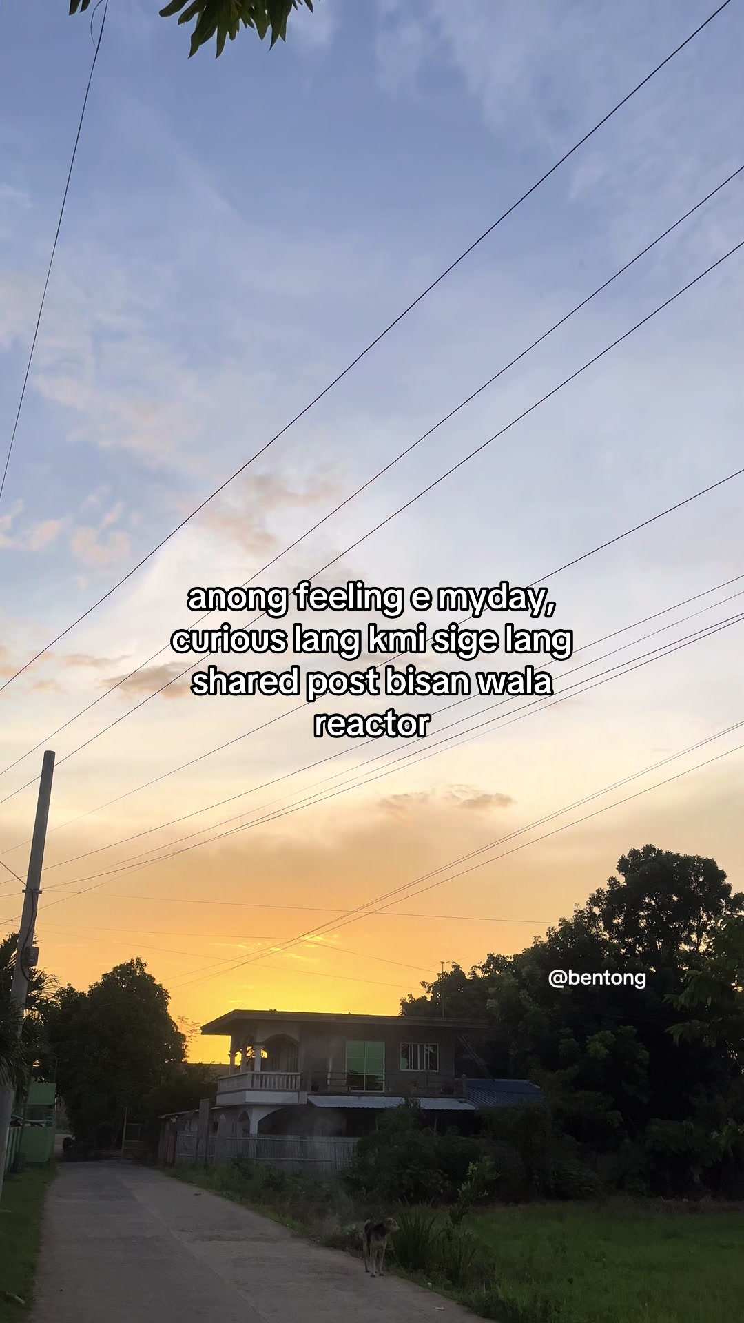 @bentong_on_fb