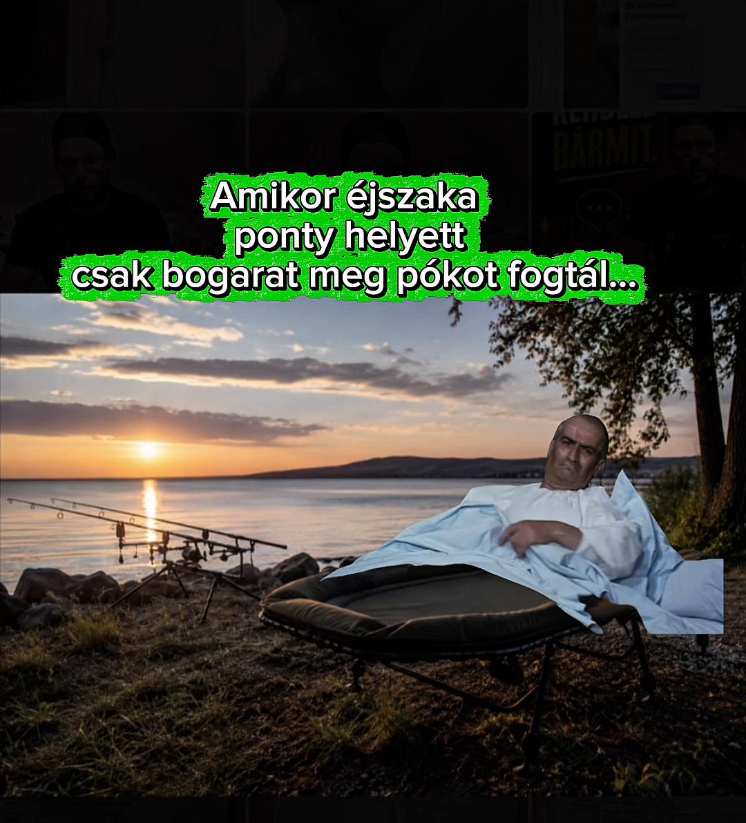 @Valter🐟