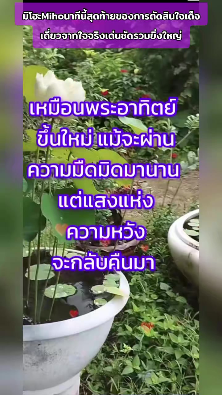 @phingjai_miho