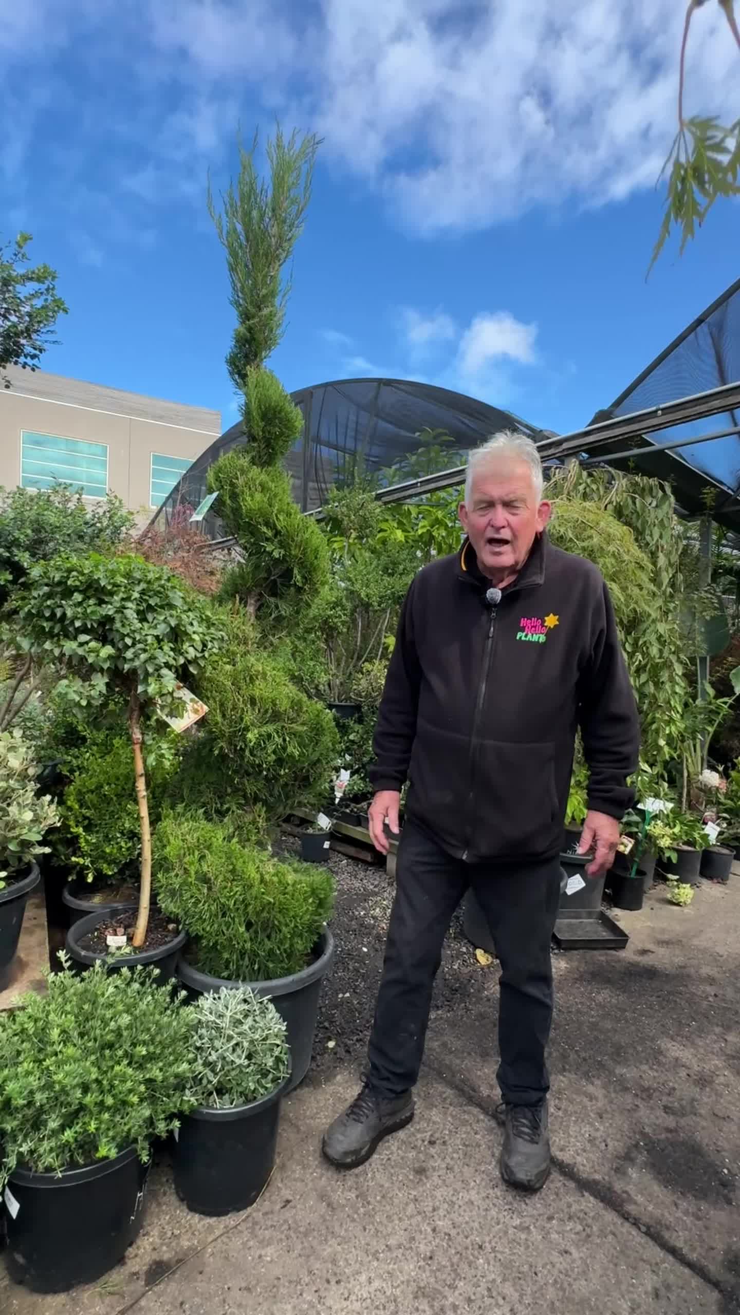 @Hello Hello Plants Nursery