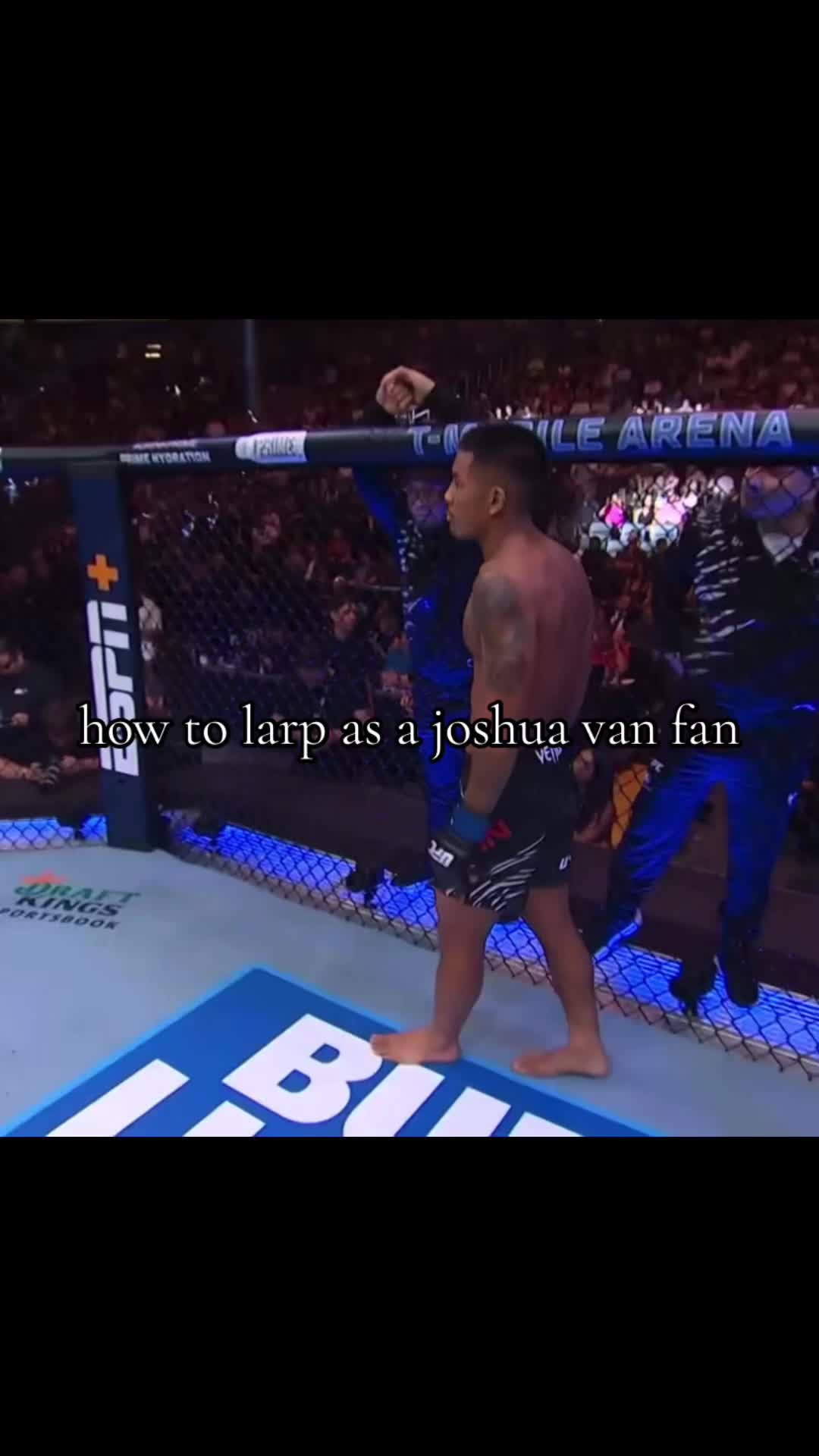 @shamilkanovski