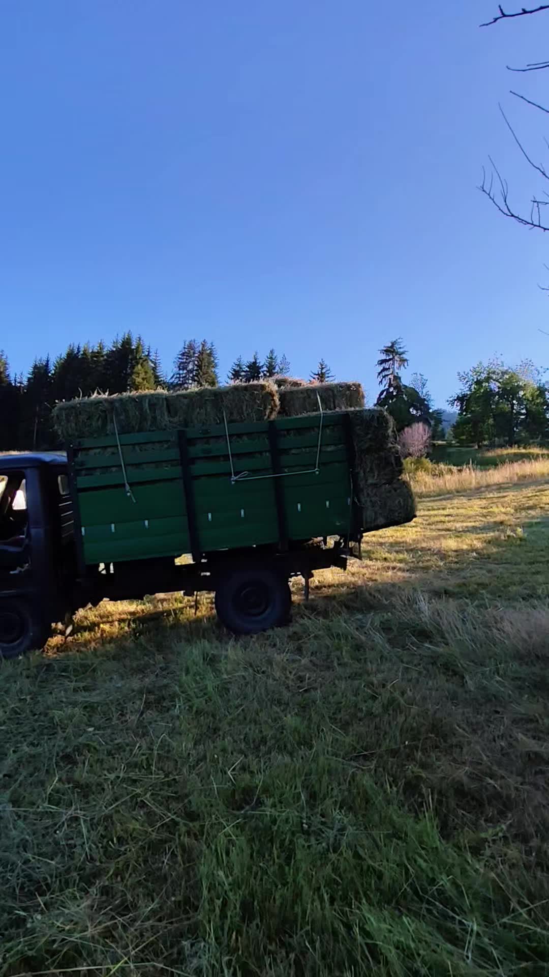 @Стоян 🇧🇬