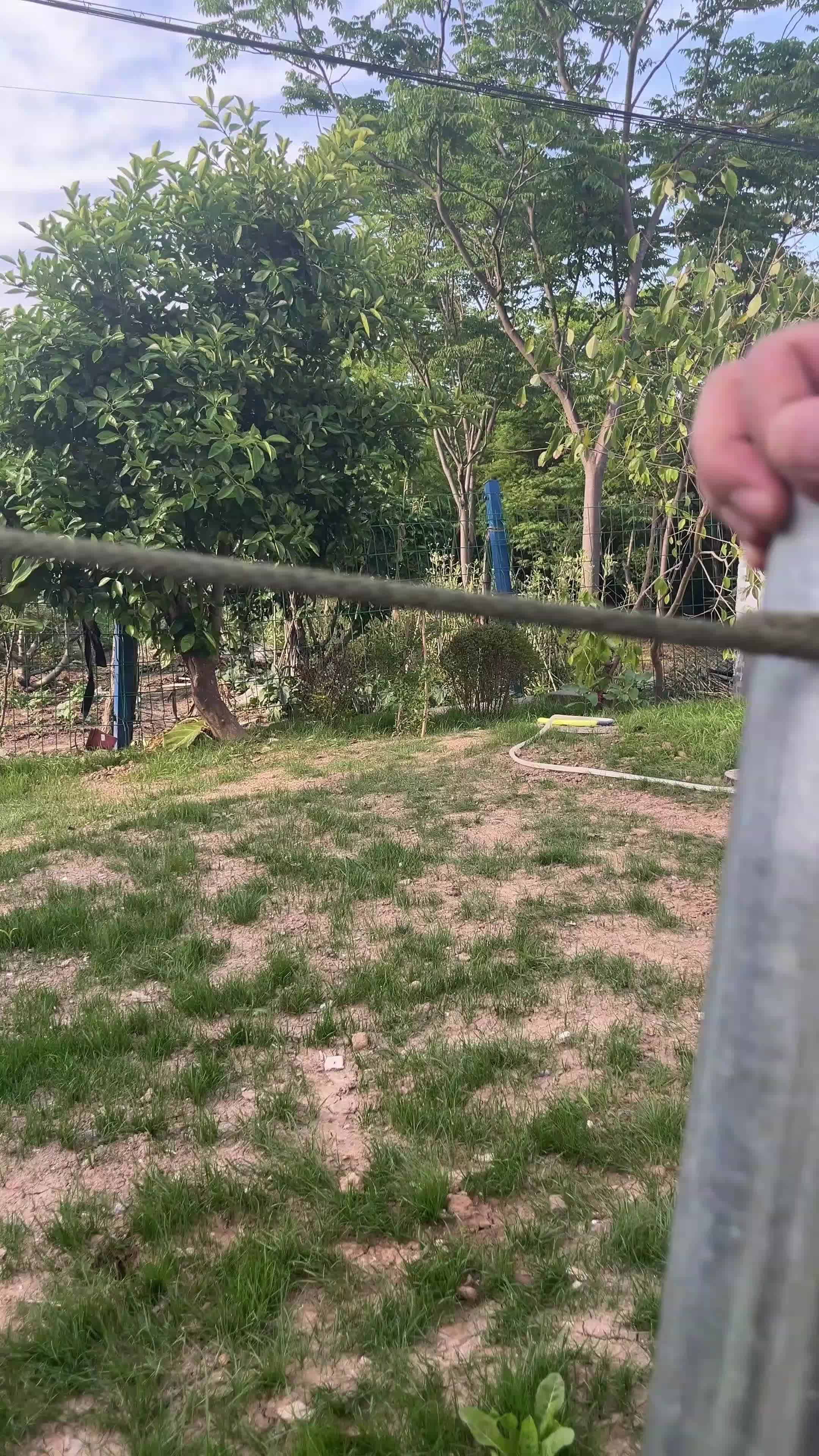 @Knots_Master