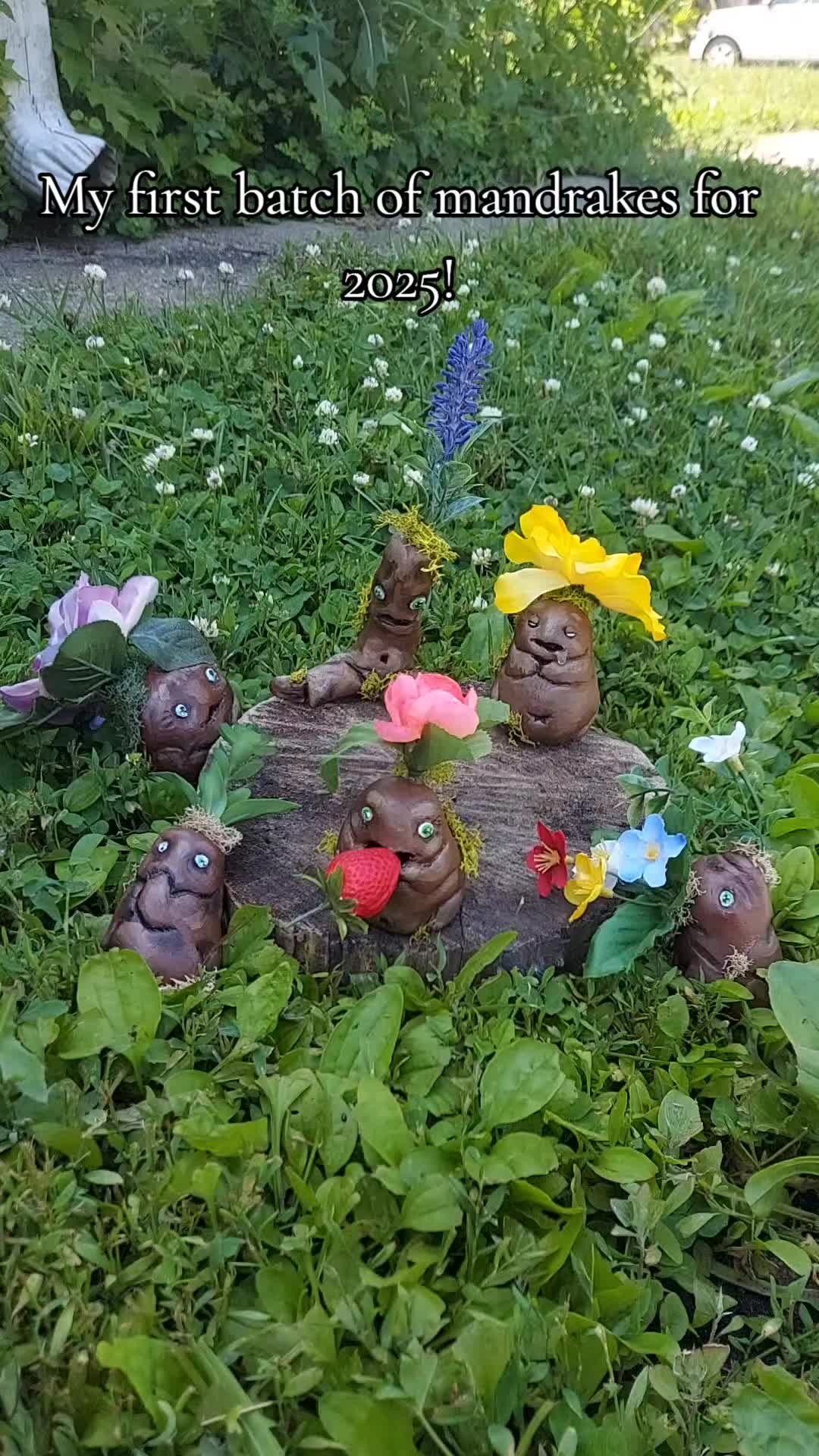 @cranky.mandrake