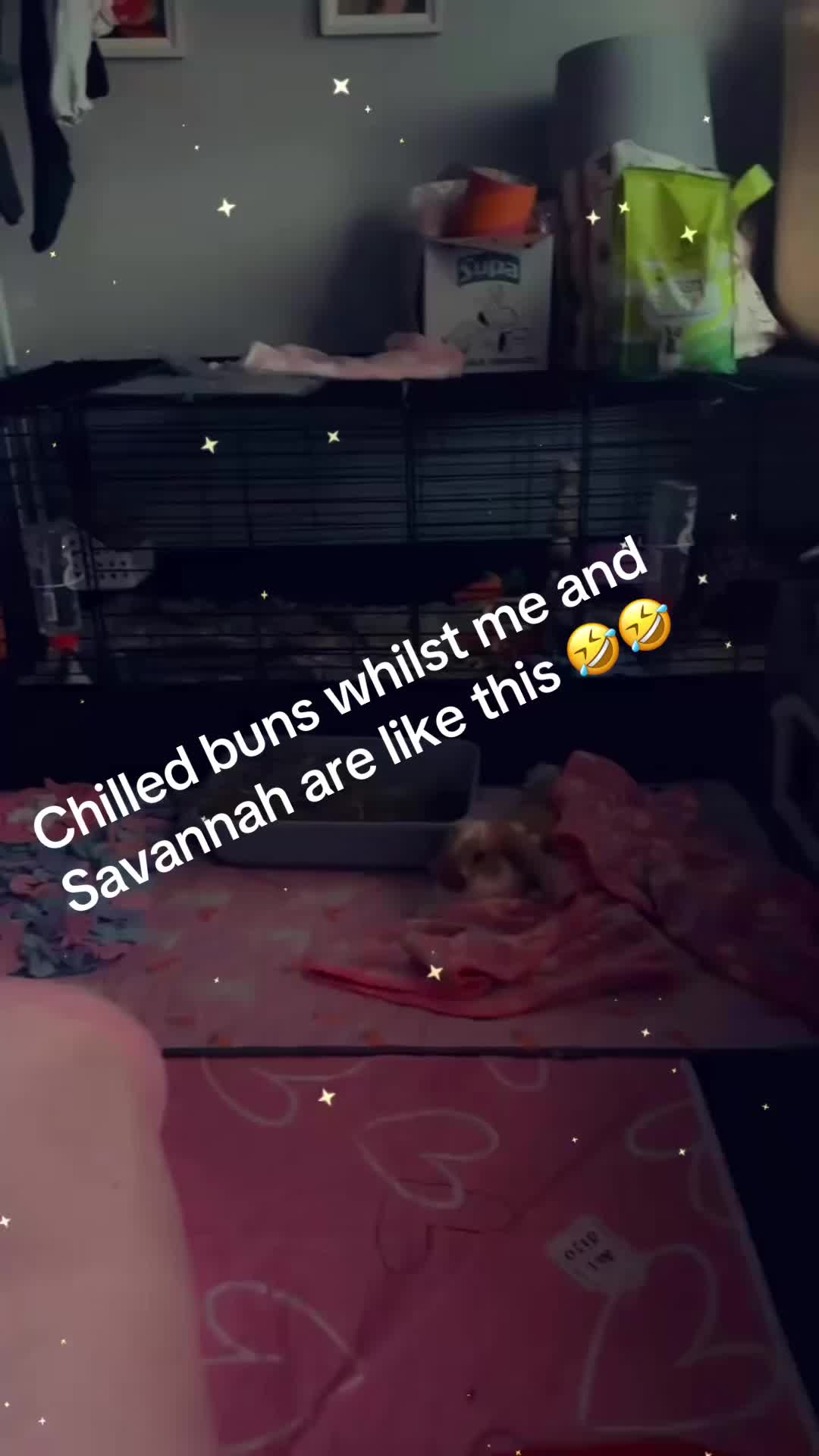 @ðâšRoxanneð«¶ðŒPjQueenâšð
