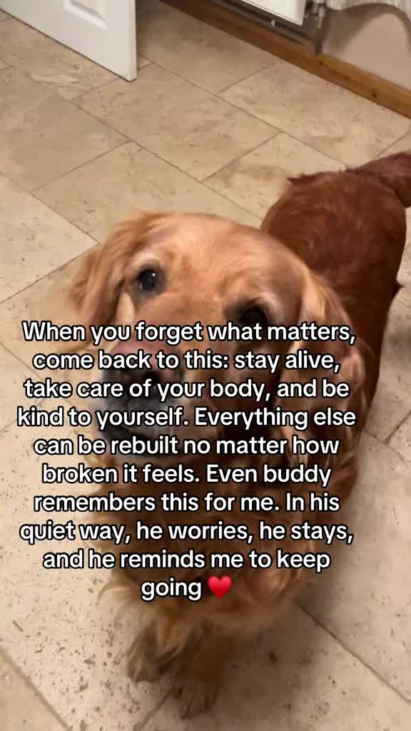 @Happy buddy